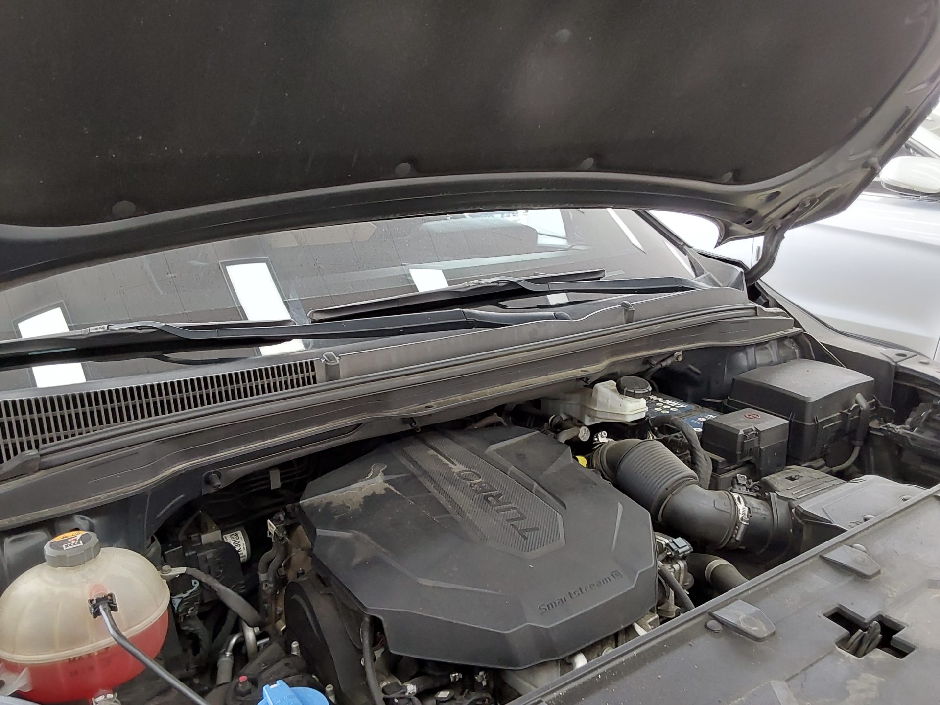 2021 - kia carnival