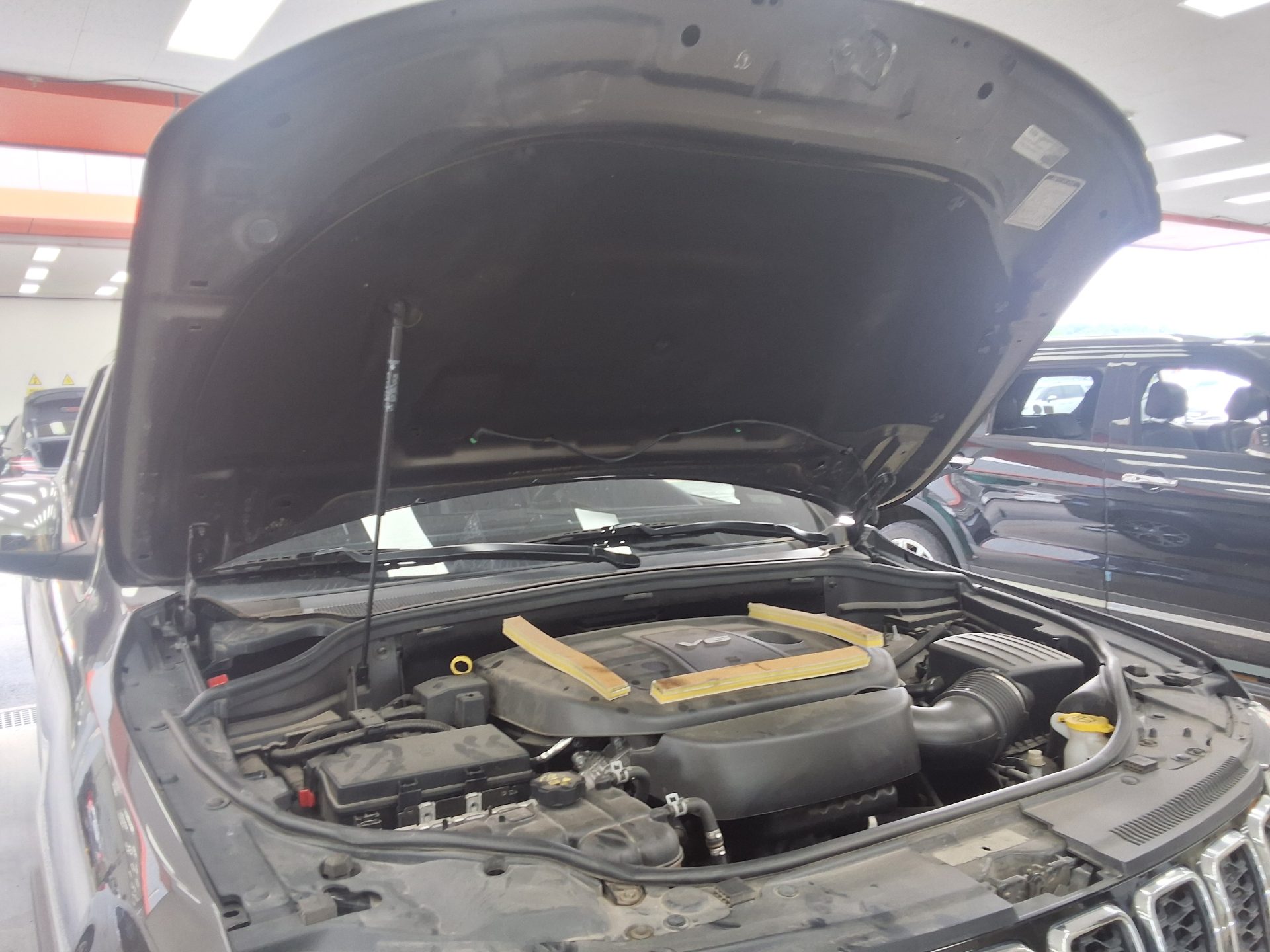 2019 - jeep grand cherokee