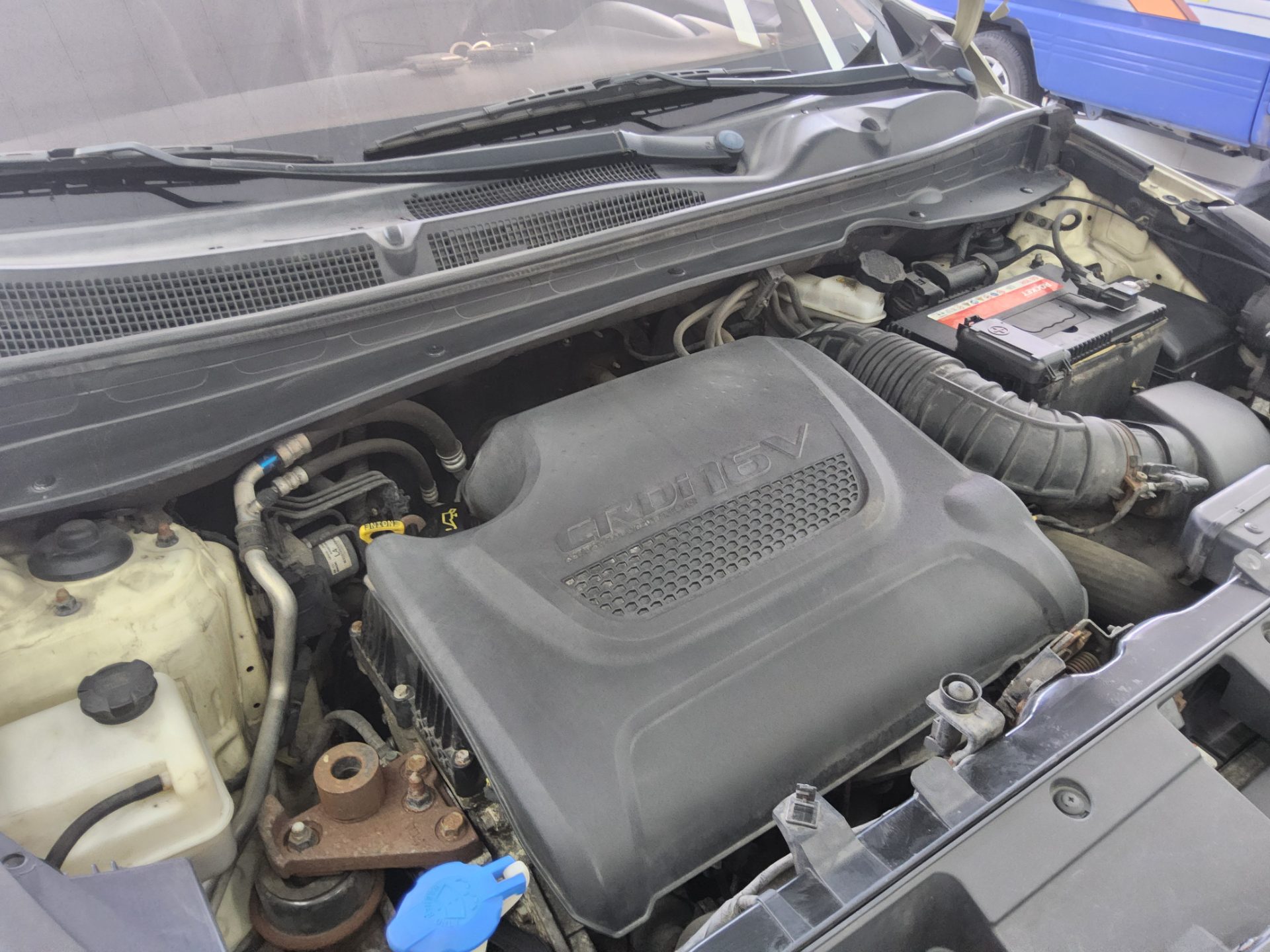 2011 - kia sportage
