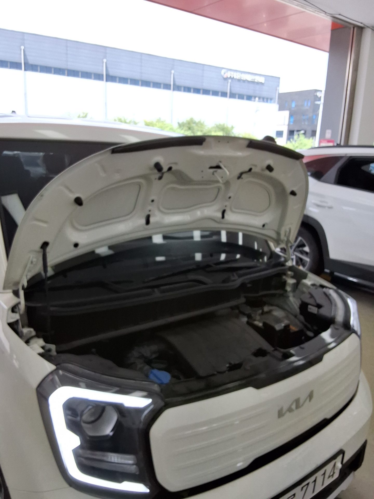 2024 - kia ray
