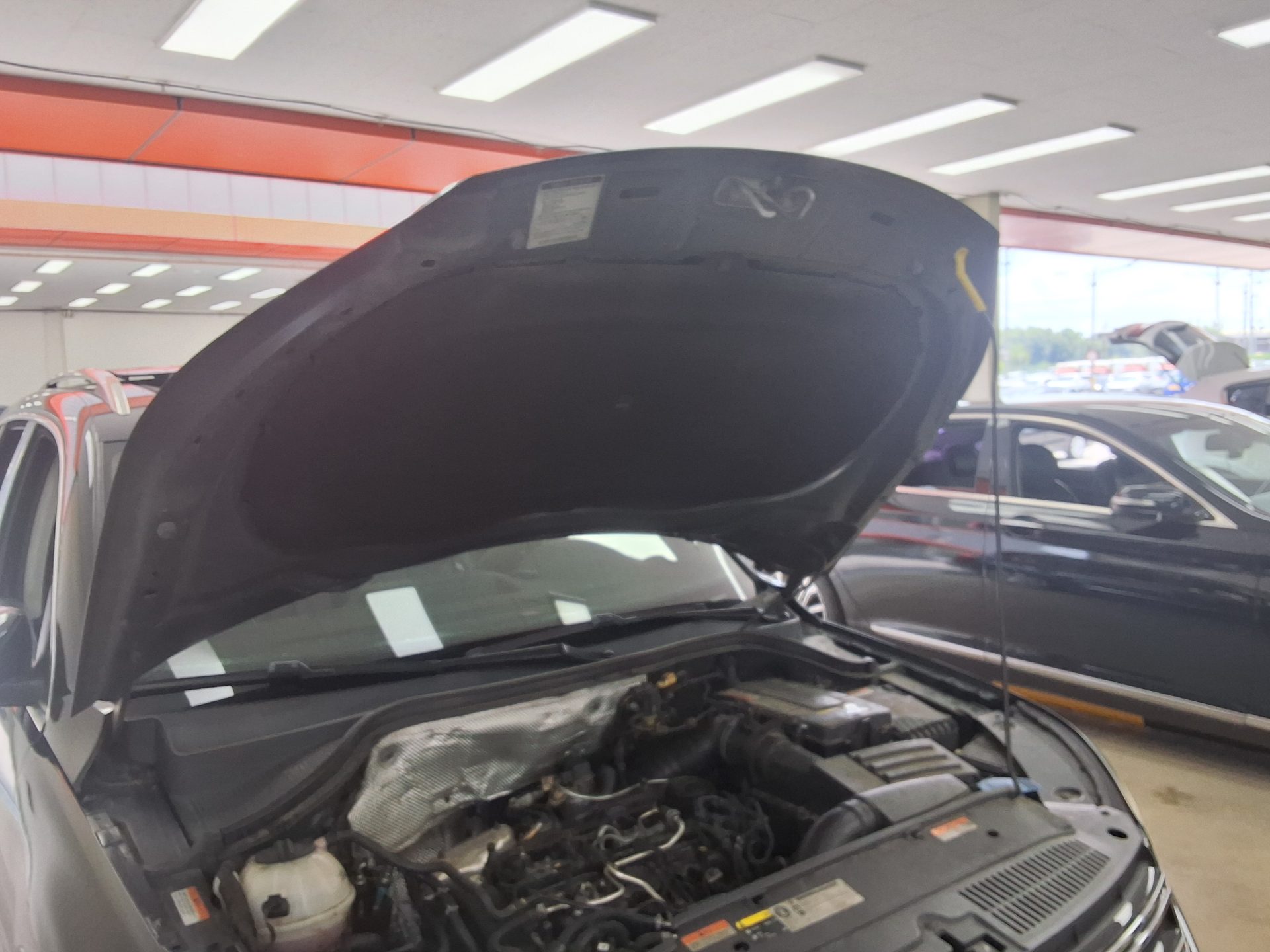 2015 - volkswagen tiguan