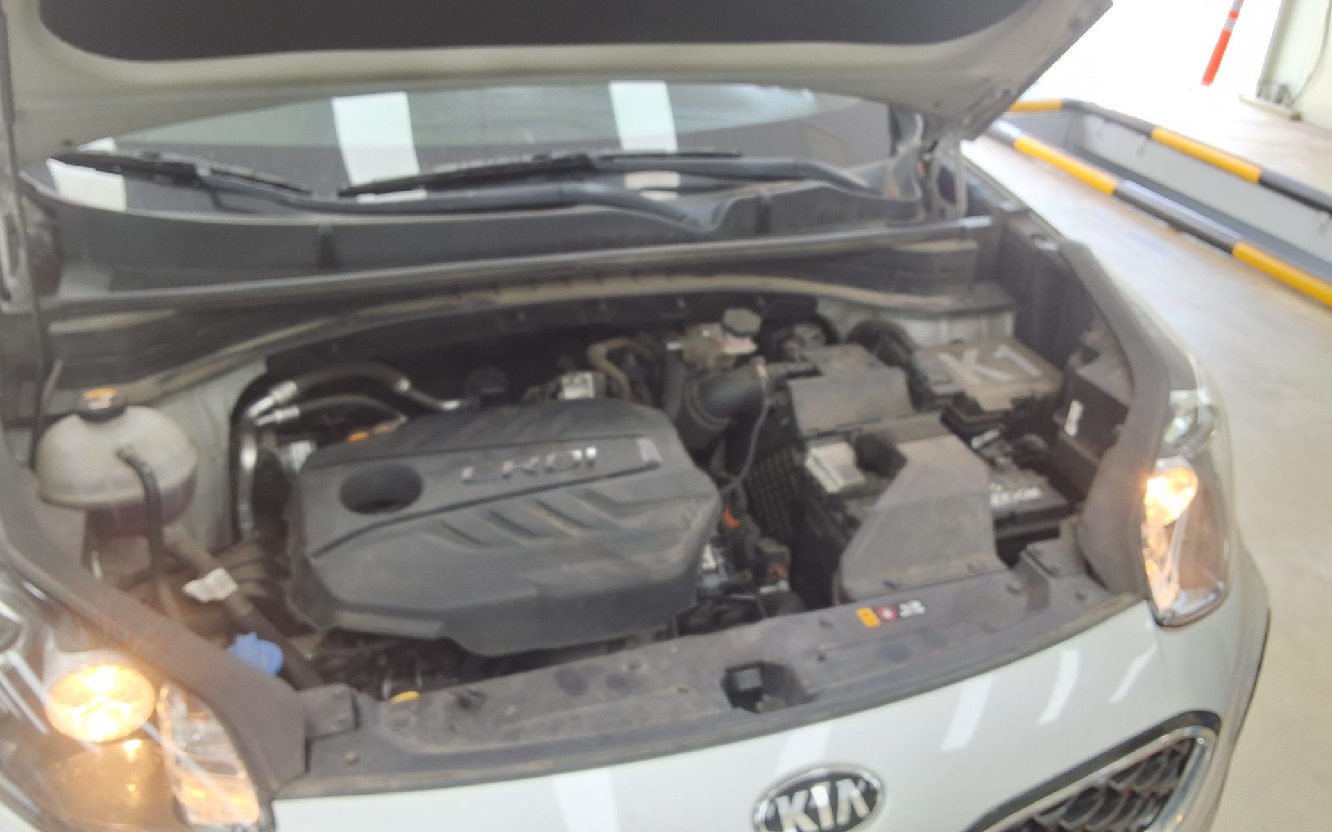 2019 - kia sportage