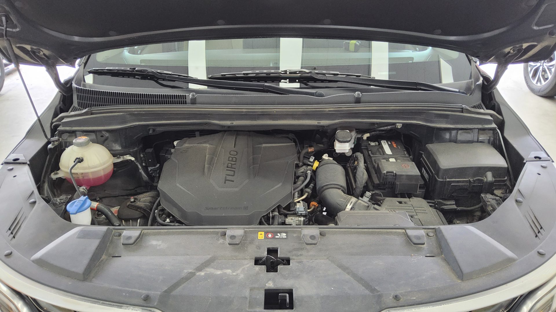 2023 - kia carnival