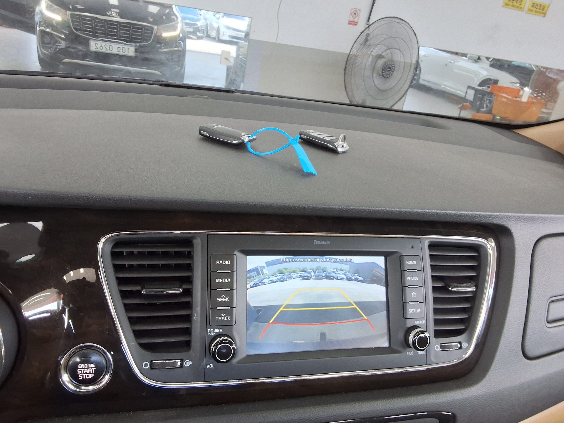 2019 - kia carnival