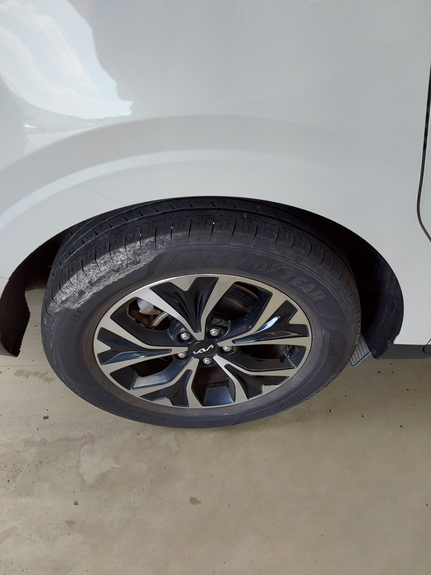 2023 - kia carnival