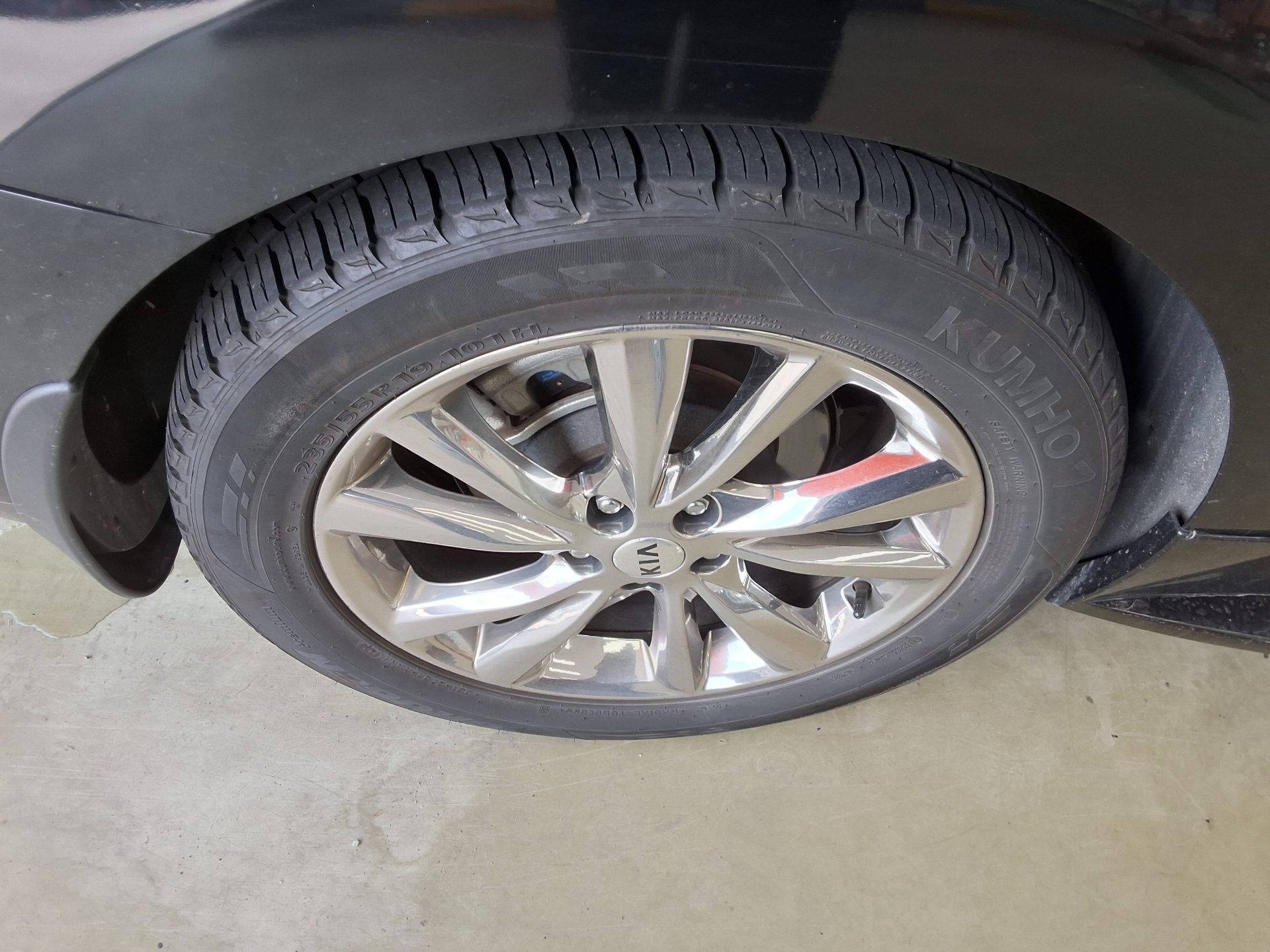 2019 - kia carnival