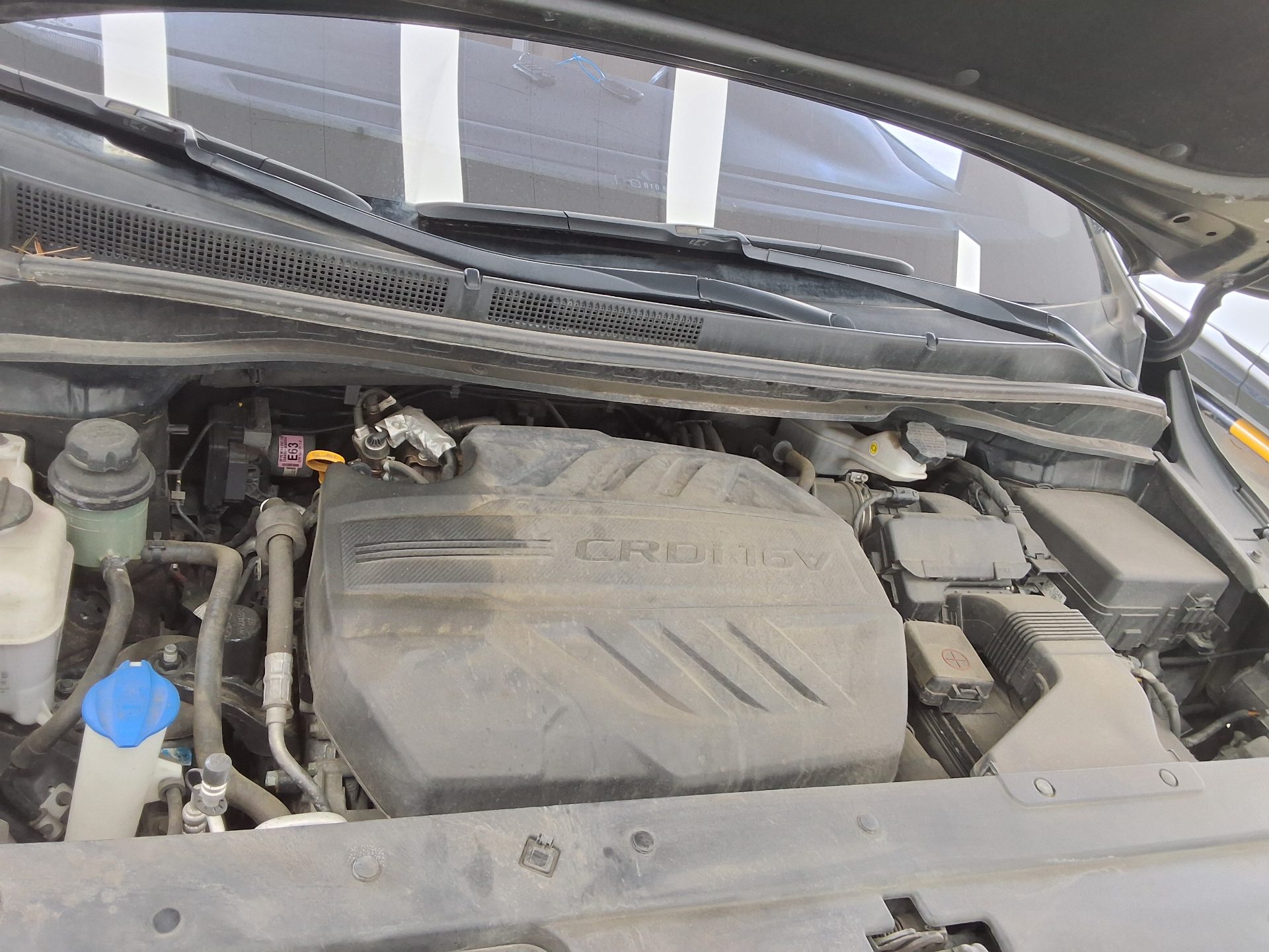2019 - kia carnival