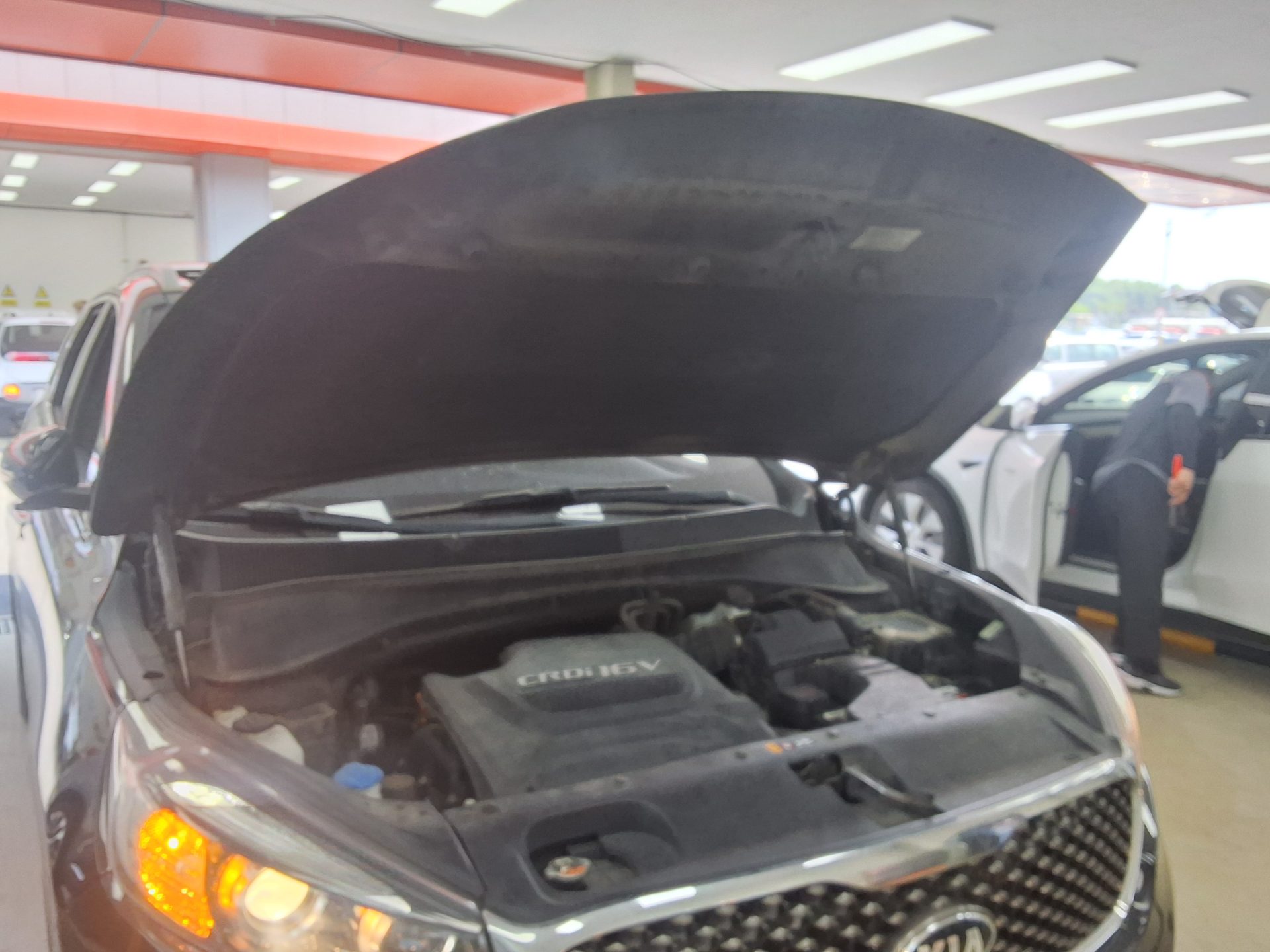 2015 - kia sorento