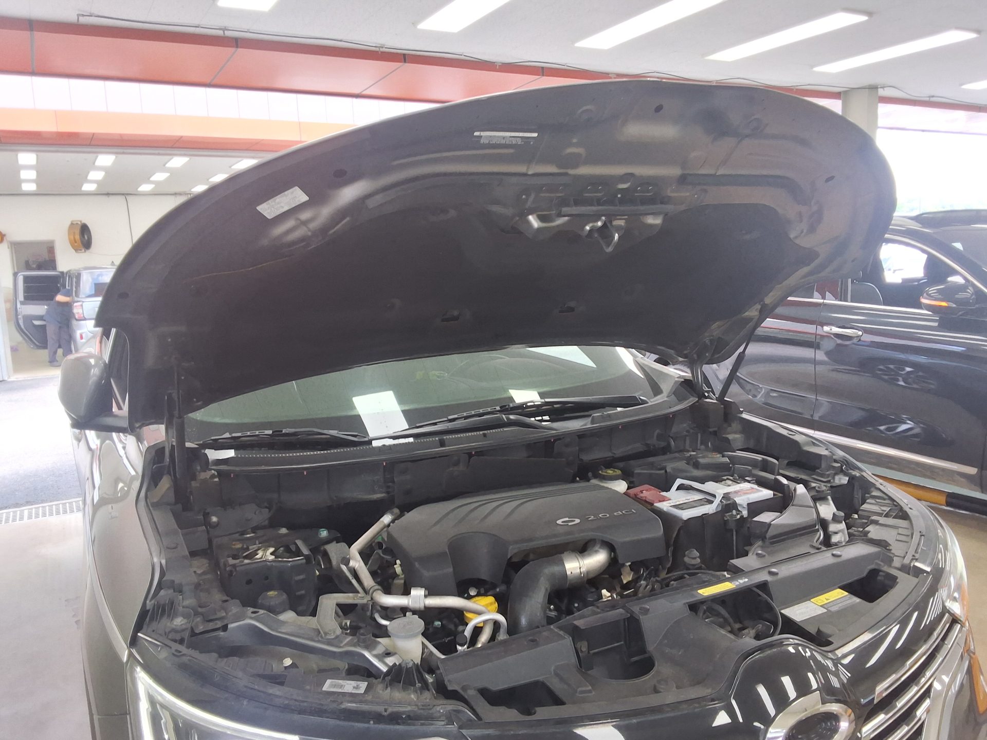 2017 - renault qm6
