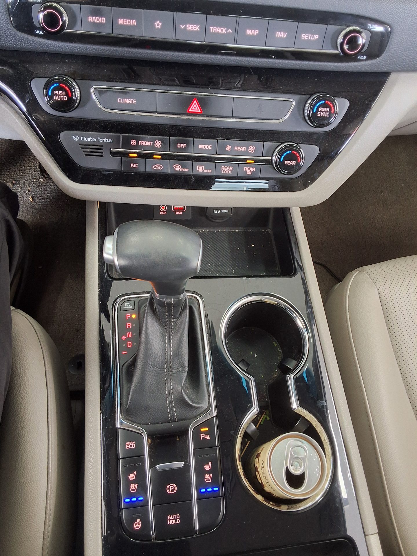 2019 - kia carnival