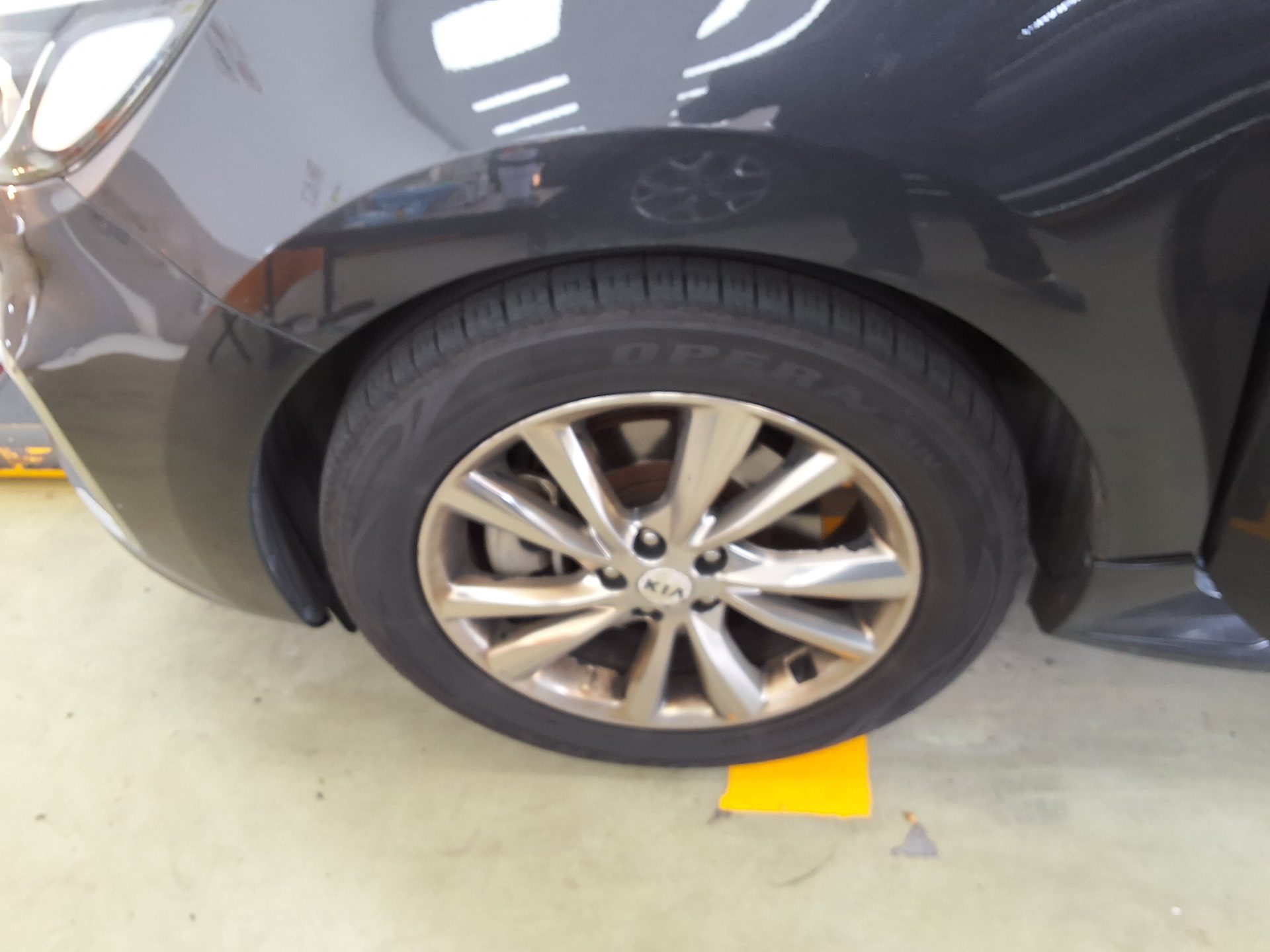 2019 - kia carnival