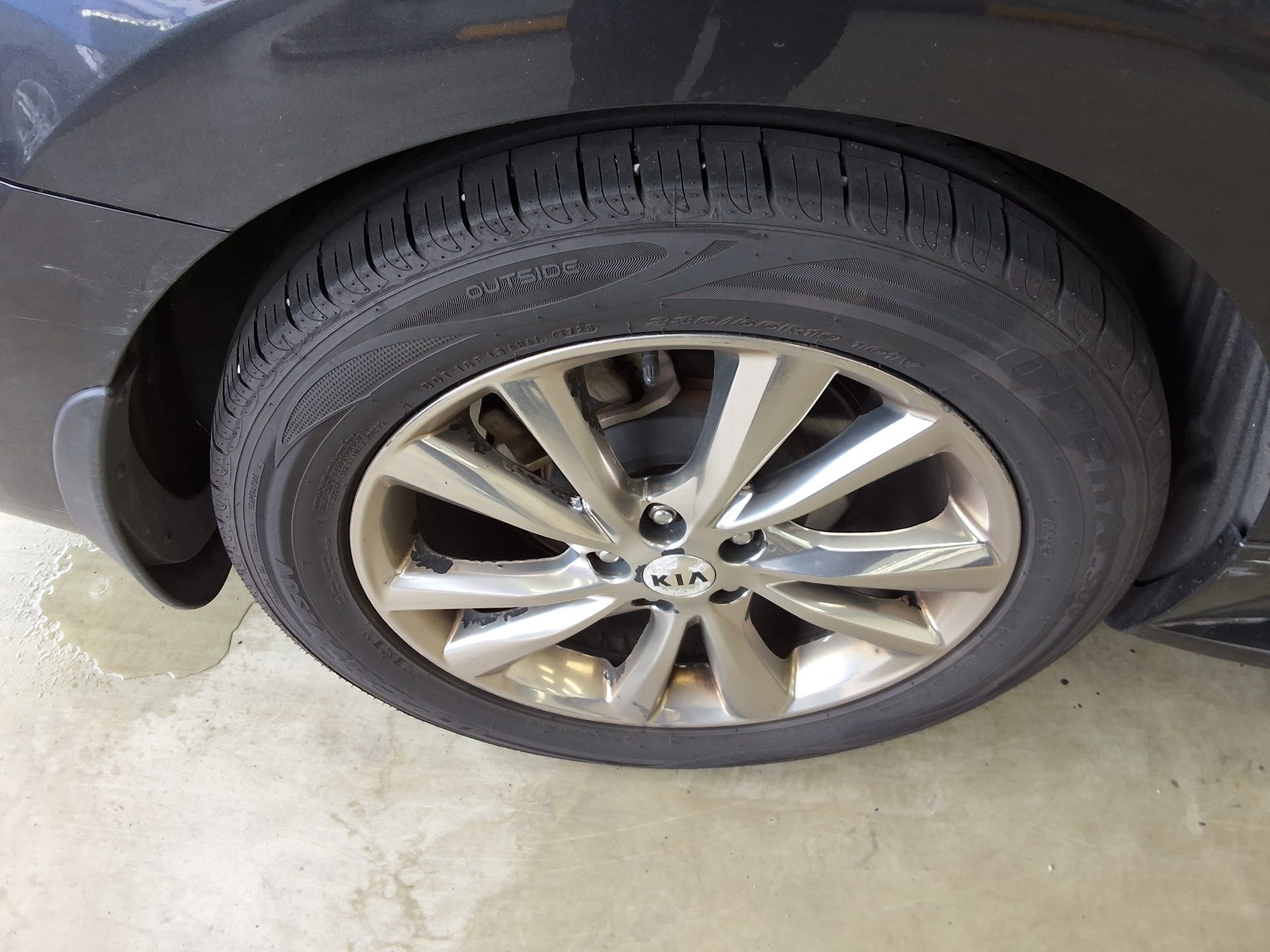 2019 - kia carnival