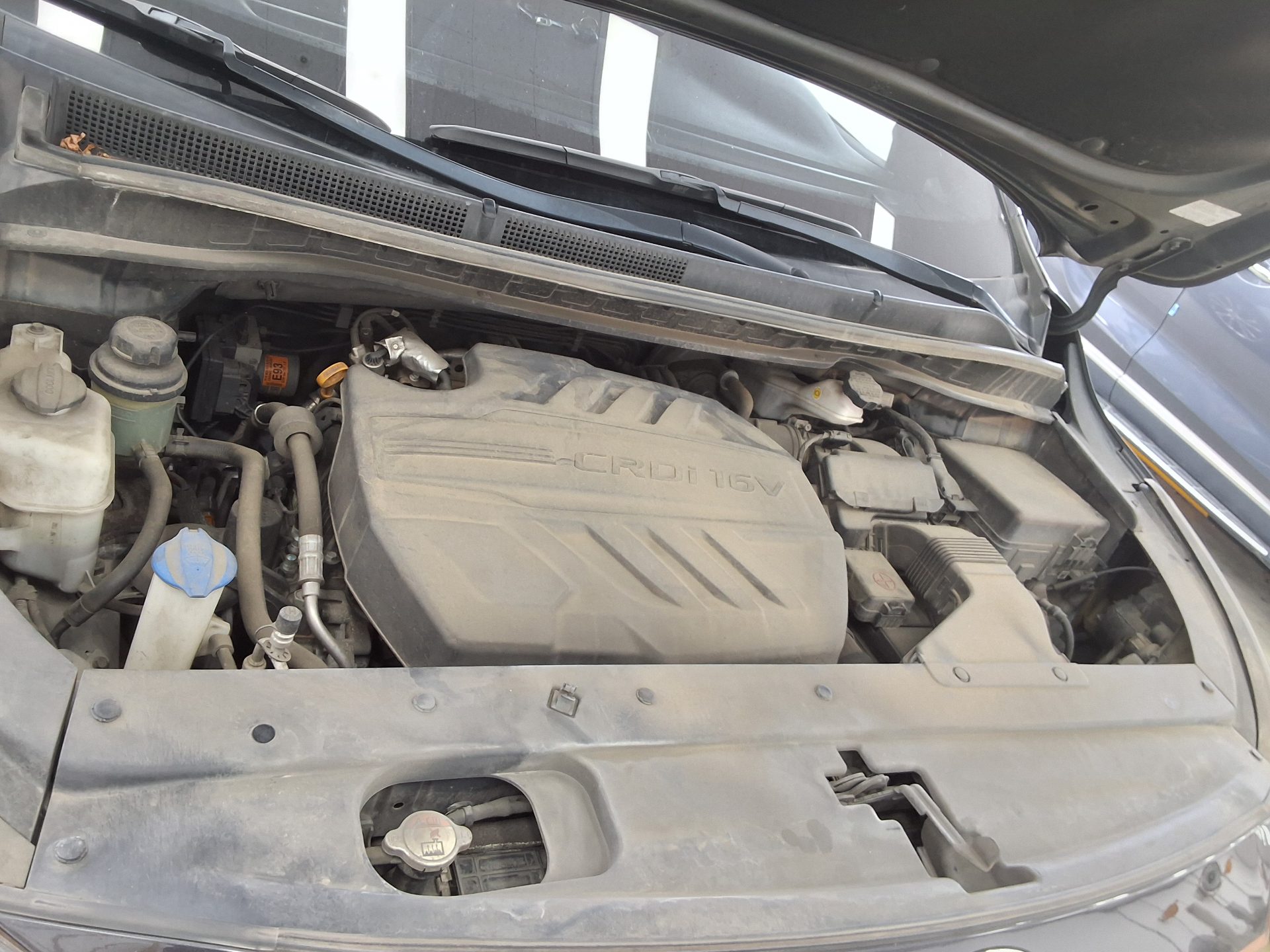 2019 - kia carnival