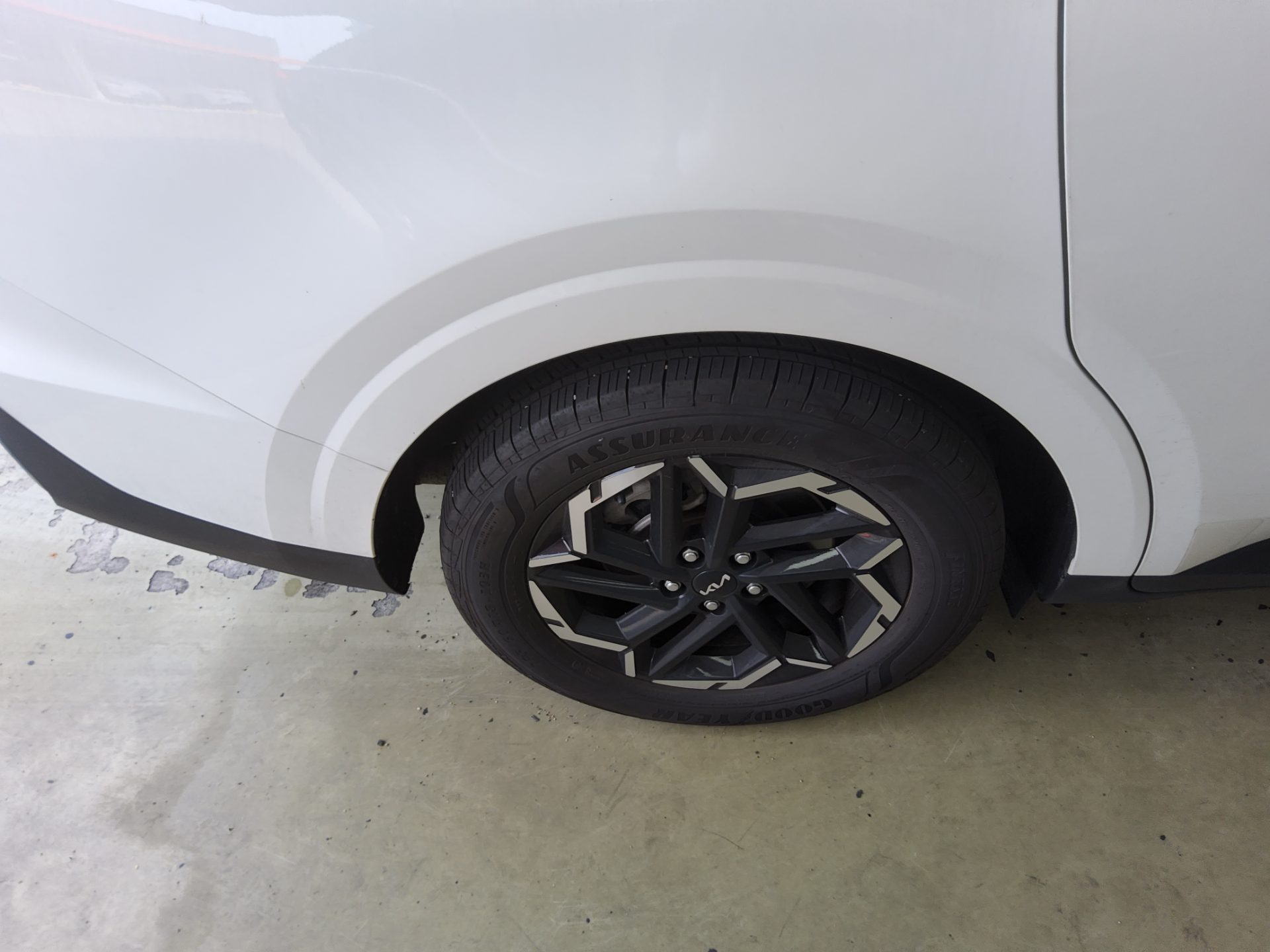 2024 - kia carnival