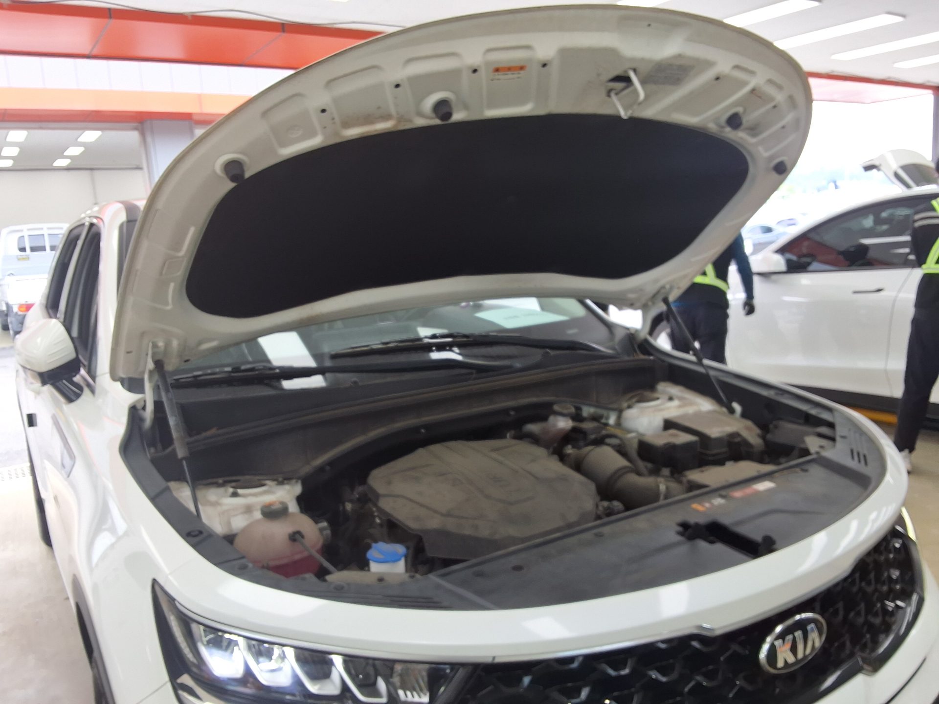 2021 - kia sorento