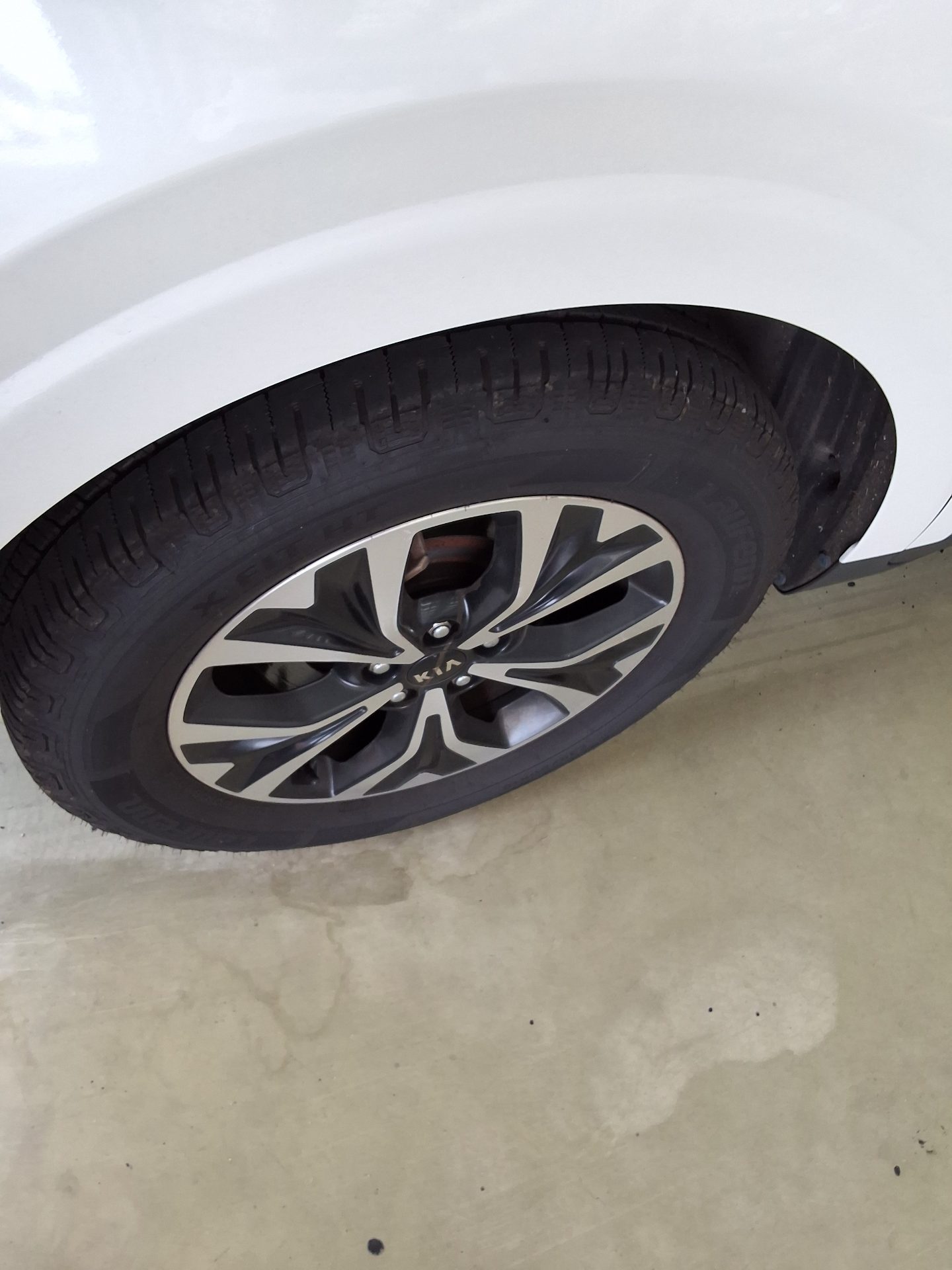 2021 - kia carnival