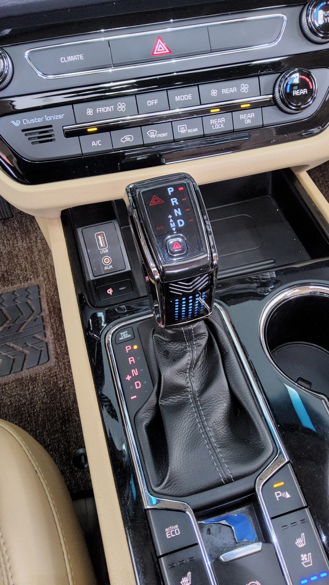 2019 - kia carnival