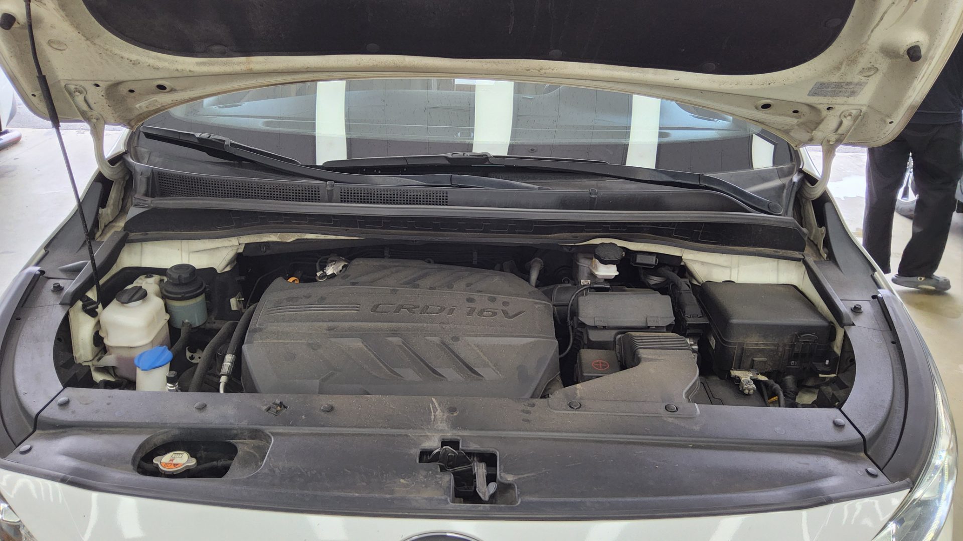2019 - kia carnival