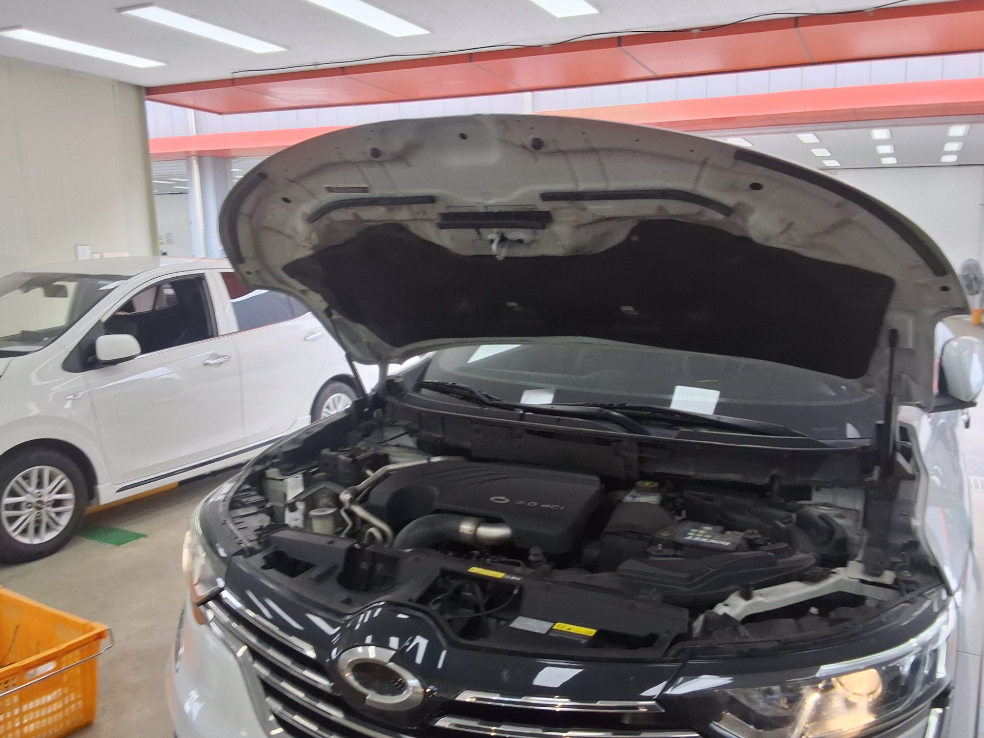 2017 - renault qm6