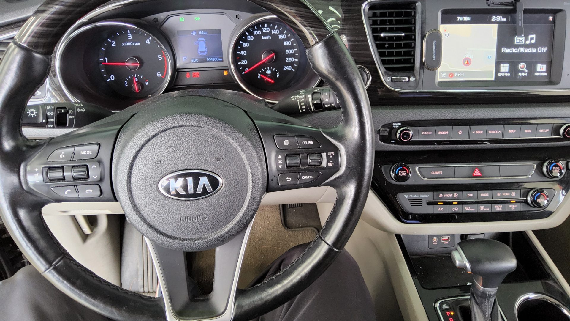 2019 - kia carnival