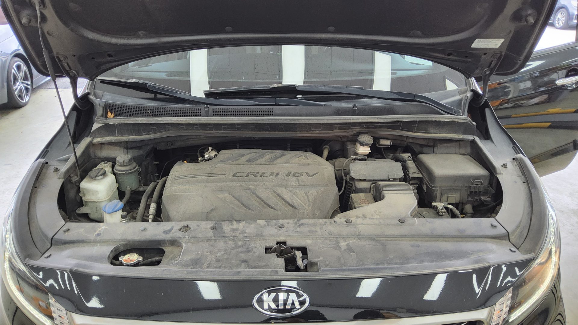 2019 - kia carnival