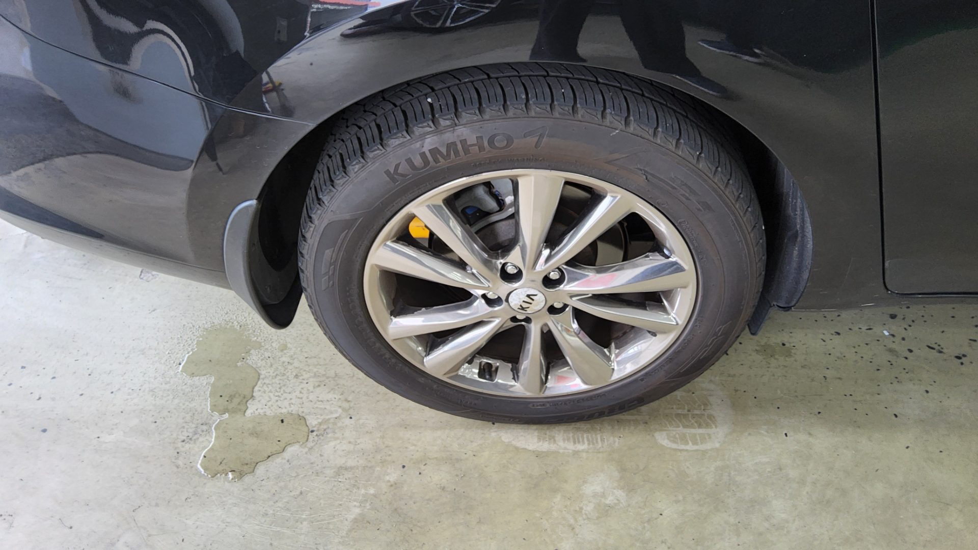 2019 - kia carnival