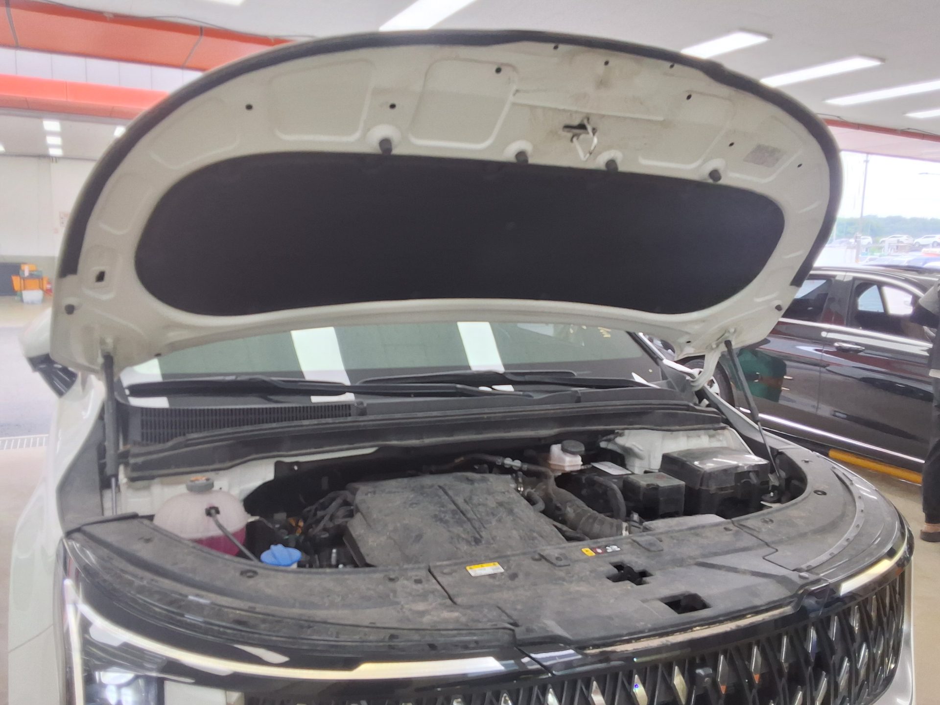 2024 - kia carnival