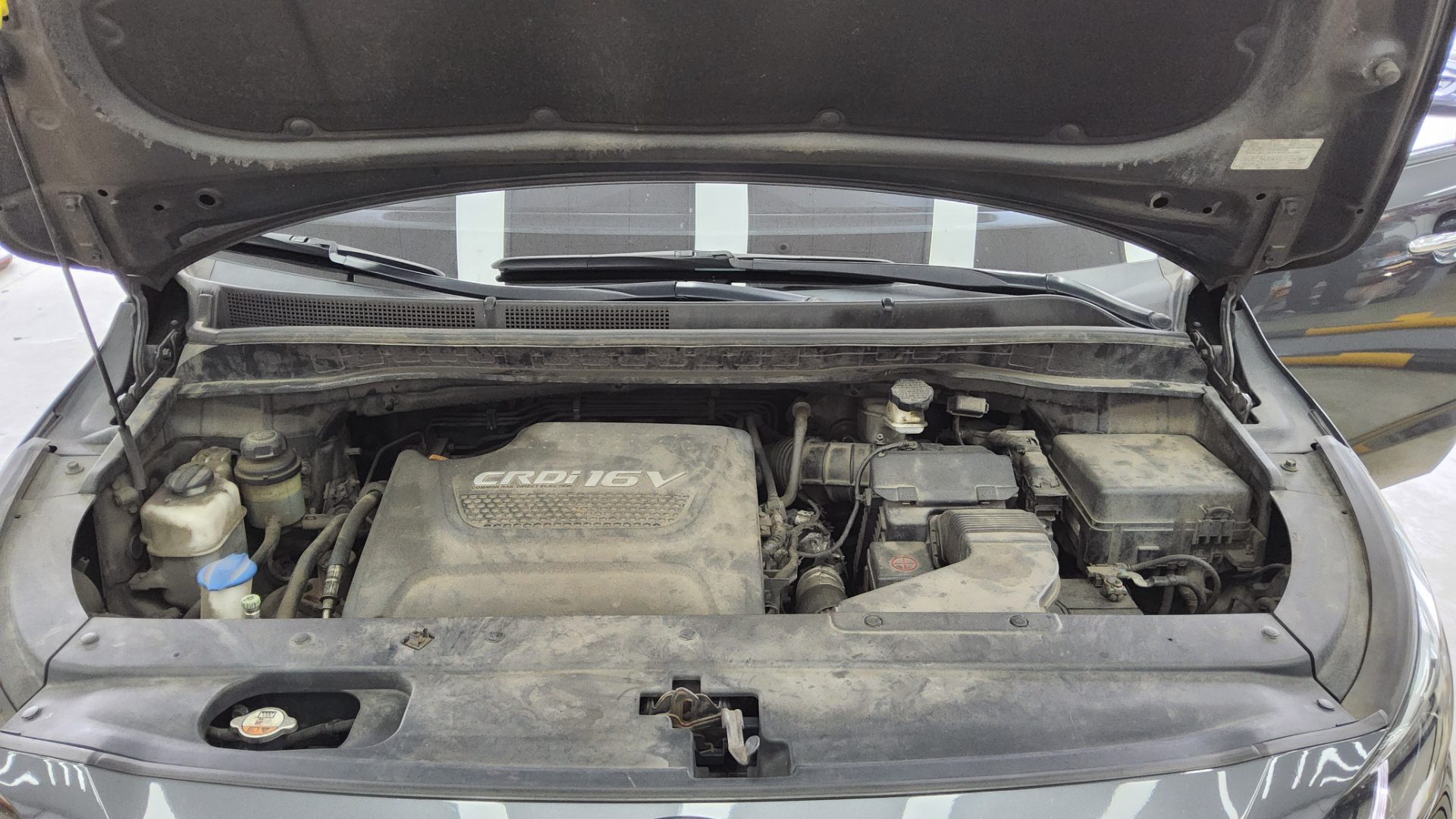 2015 - kia carnival