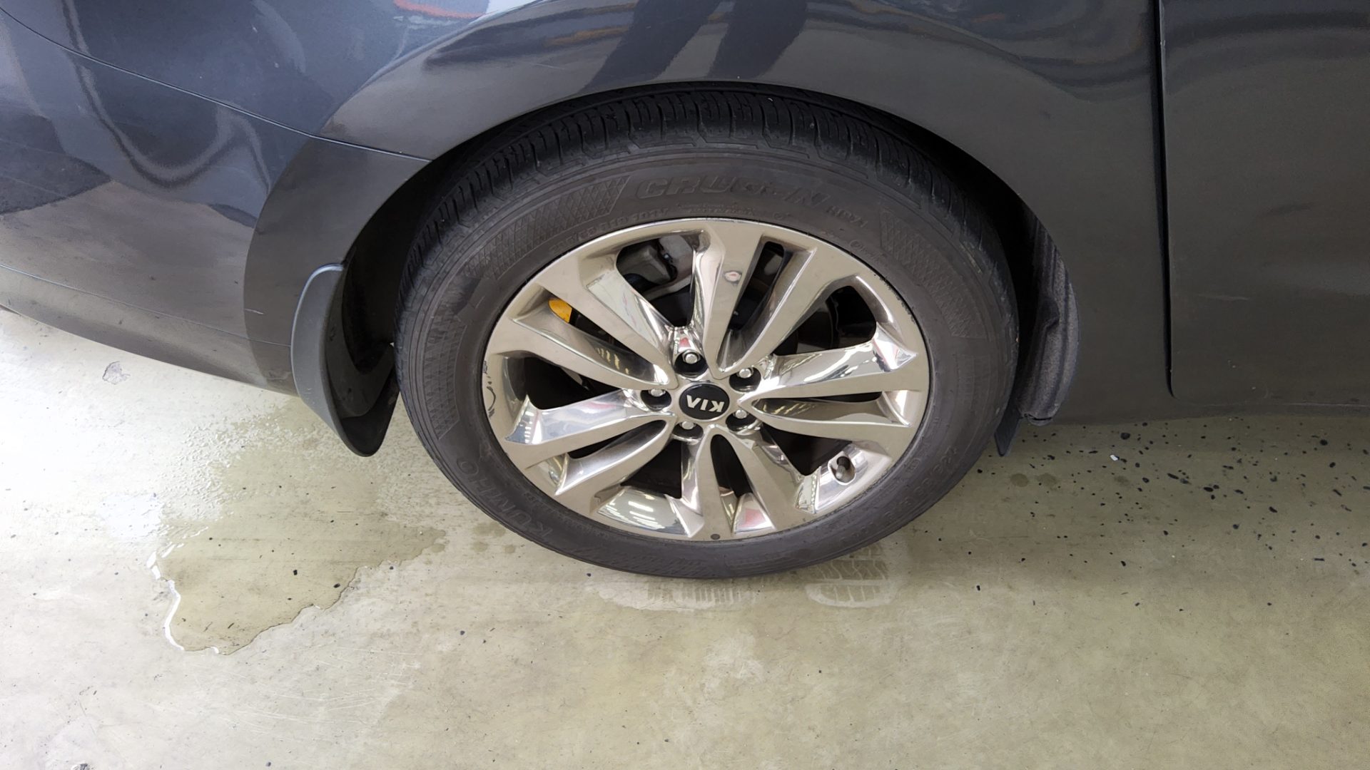 2015 - kia carnival