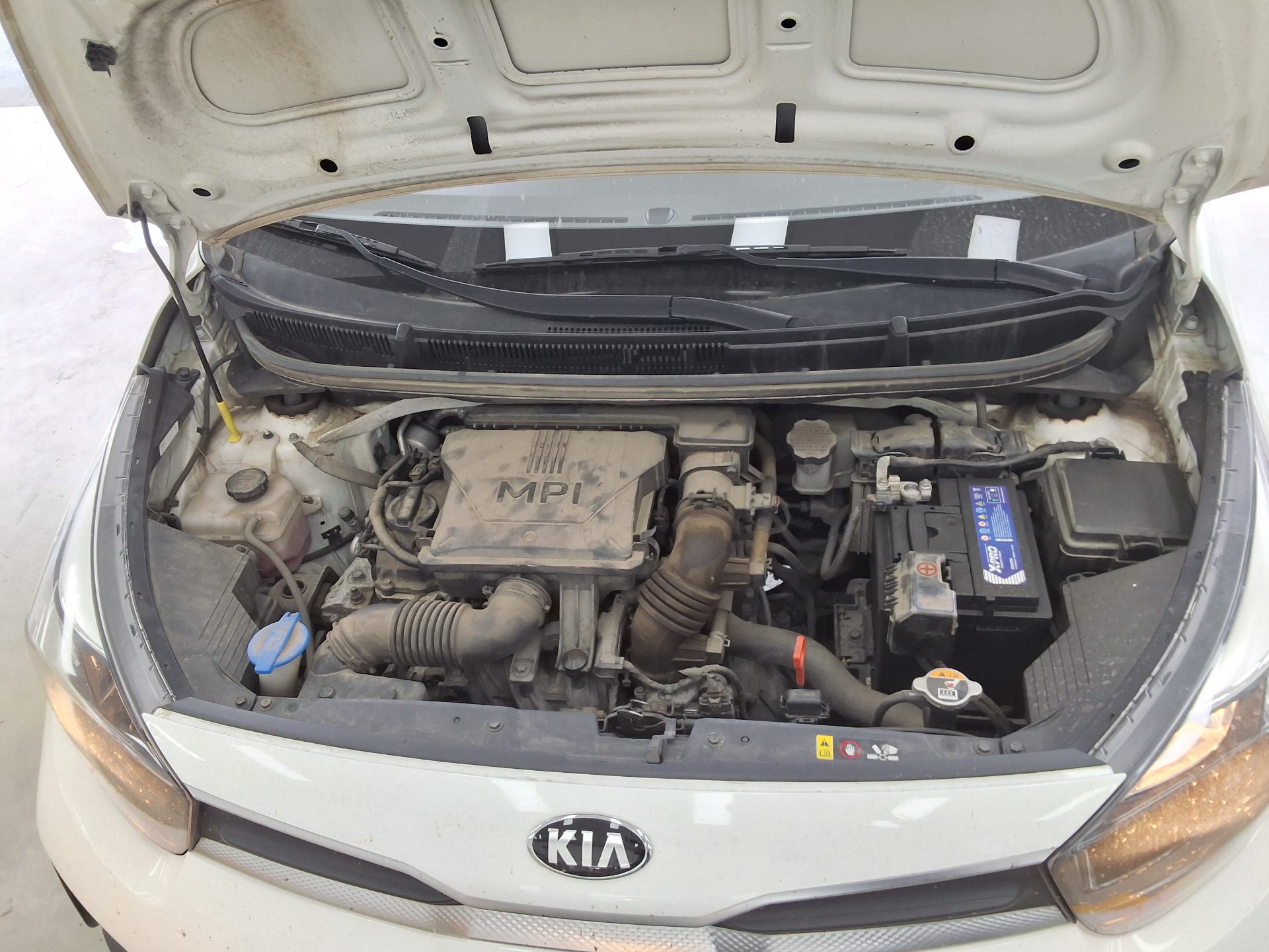 2021 - kia morning