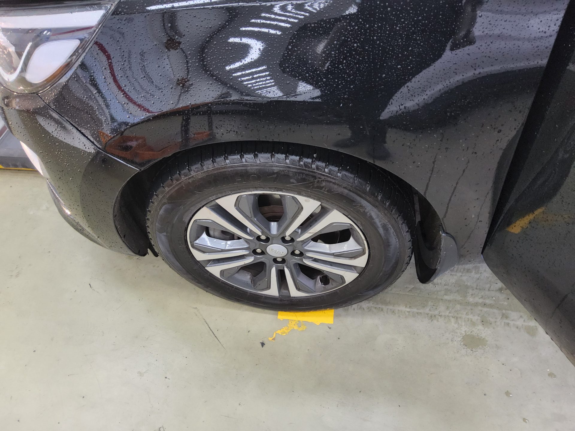 2019 - kia carnival