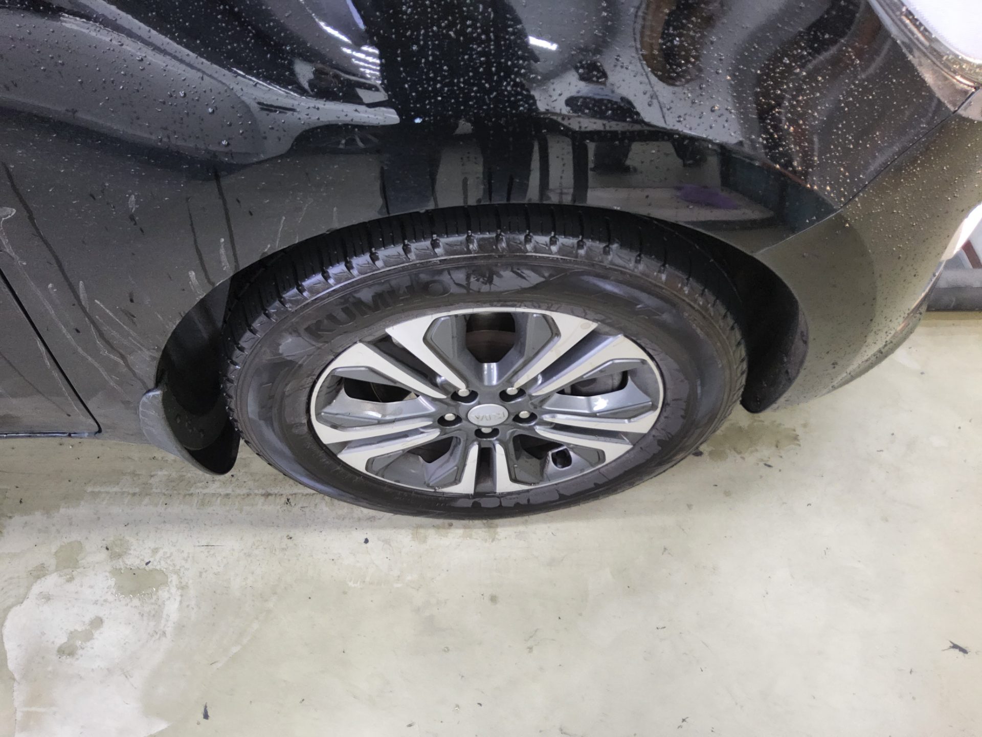 2019 - kia carnival