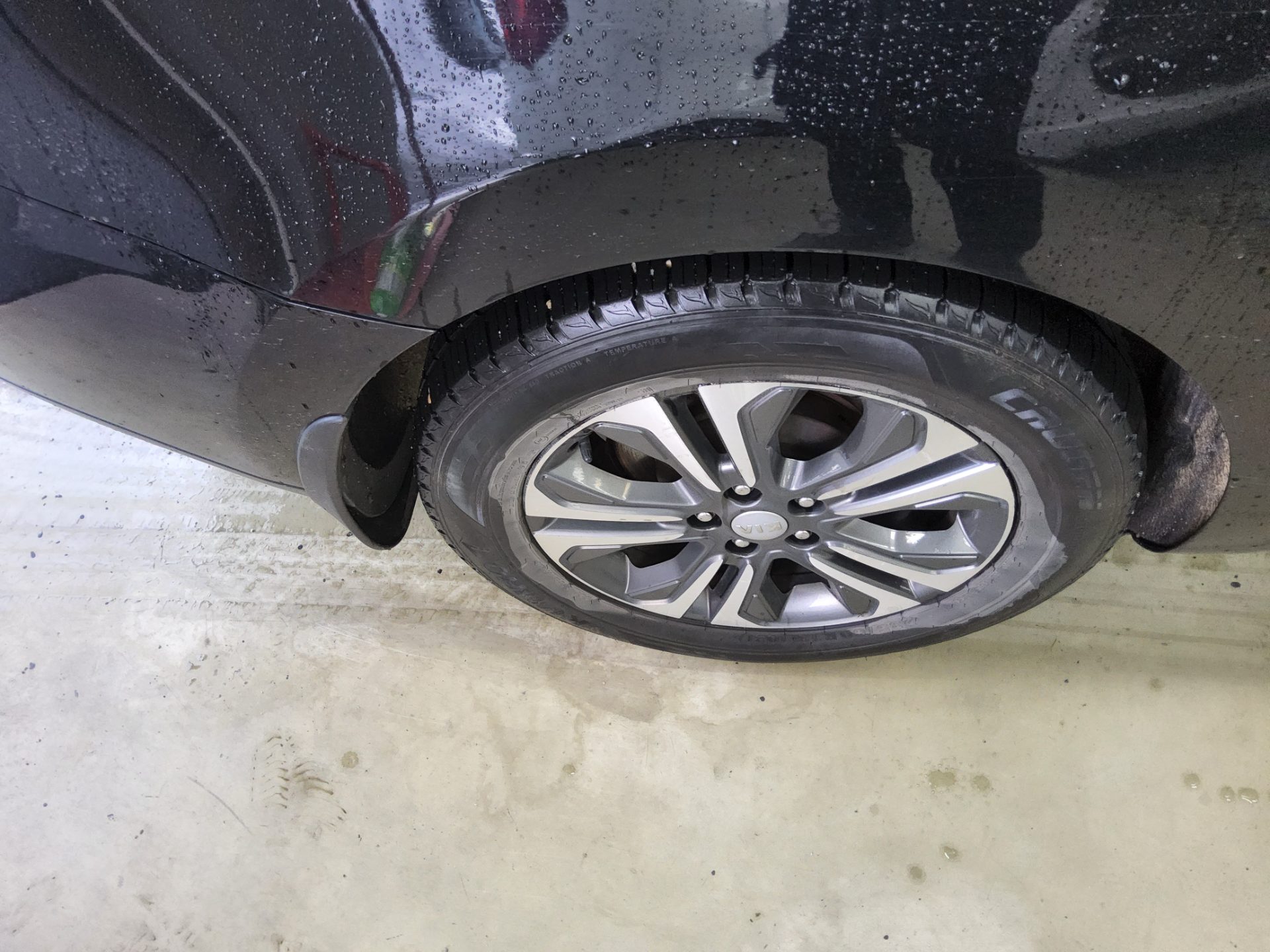 2019 - kia carnival