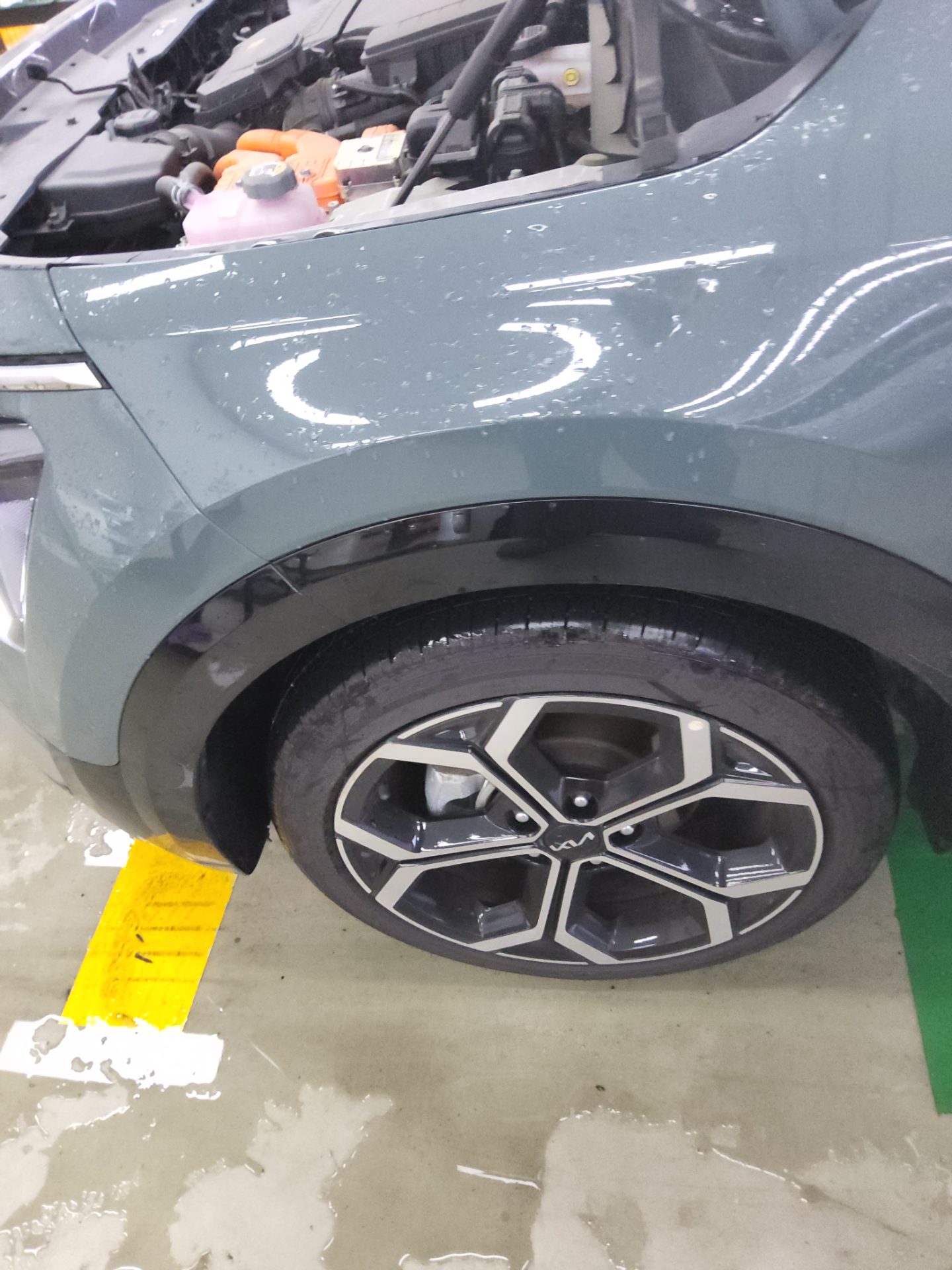 2024 - kia niro