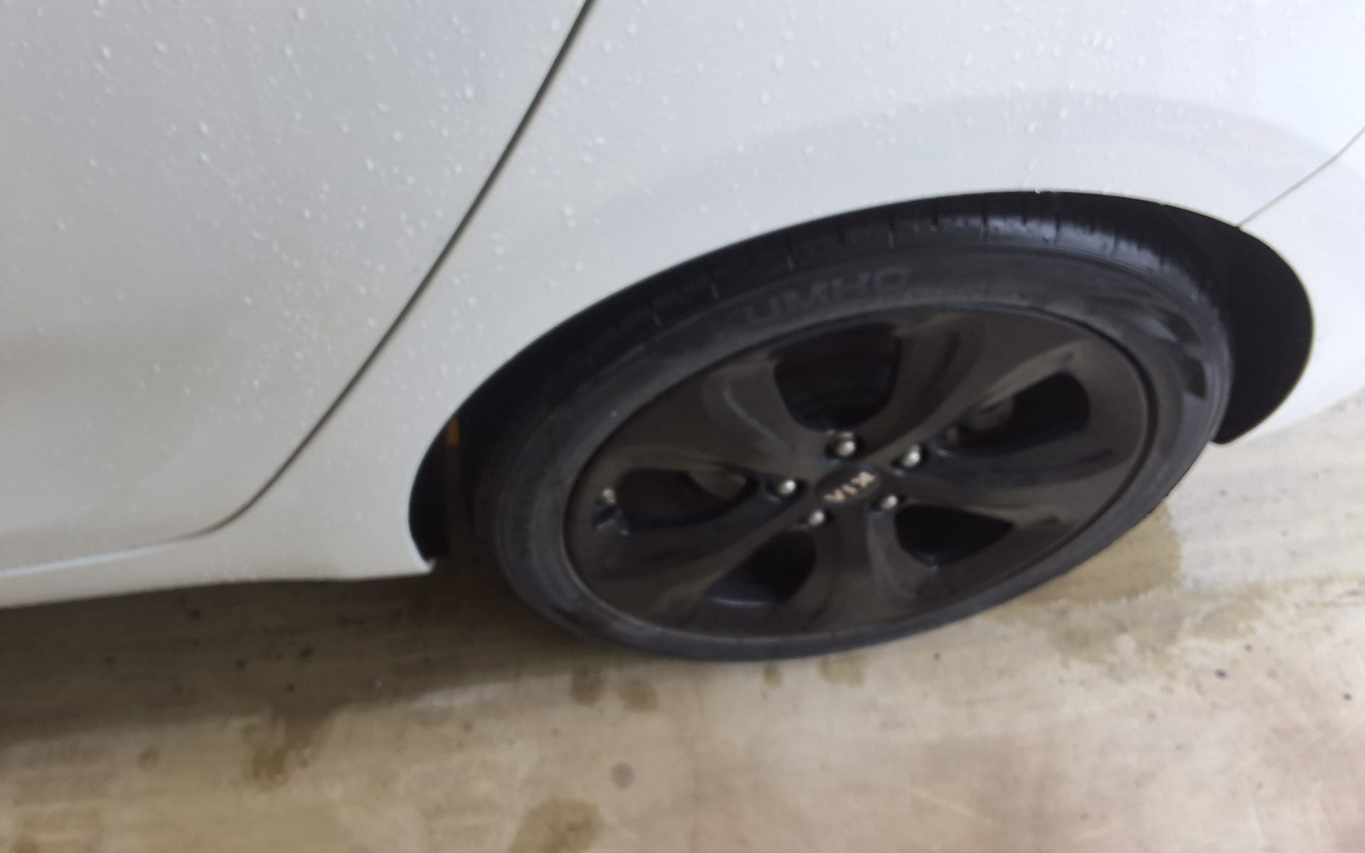 2014 - kia carens