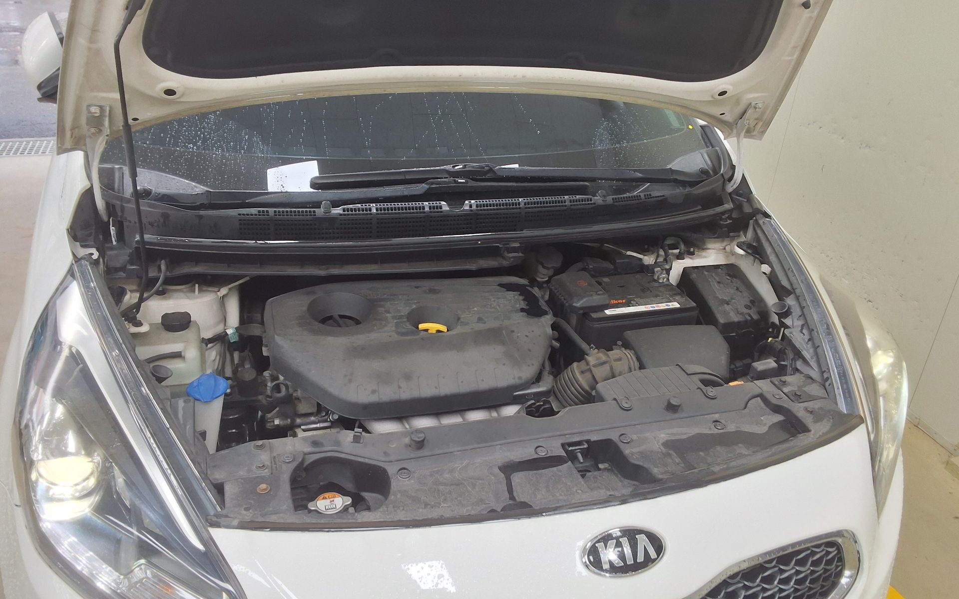 2014 - kia carens
