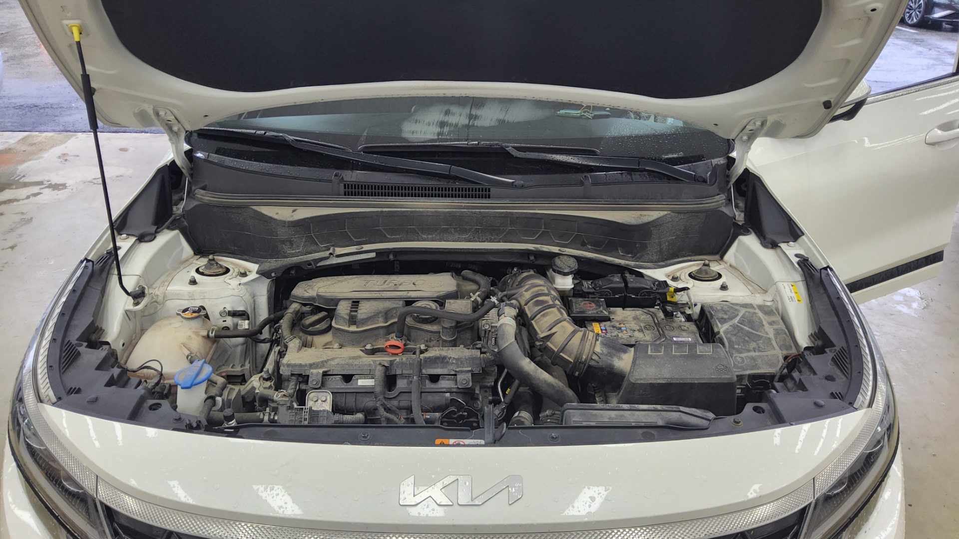 2023 - kia seltos