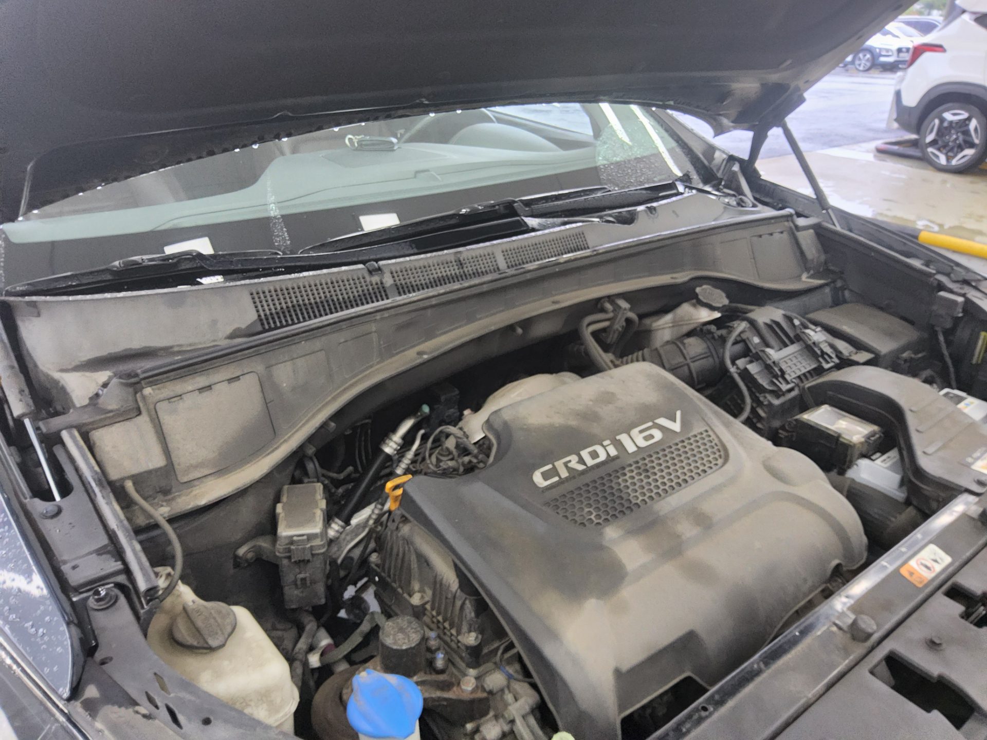 2016 - hyundai maxcruz