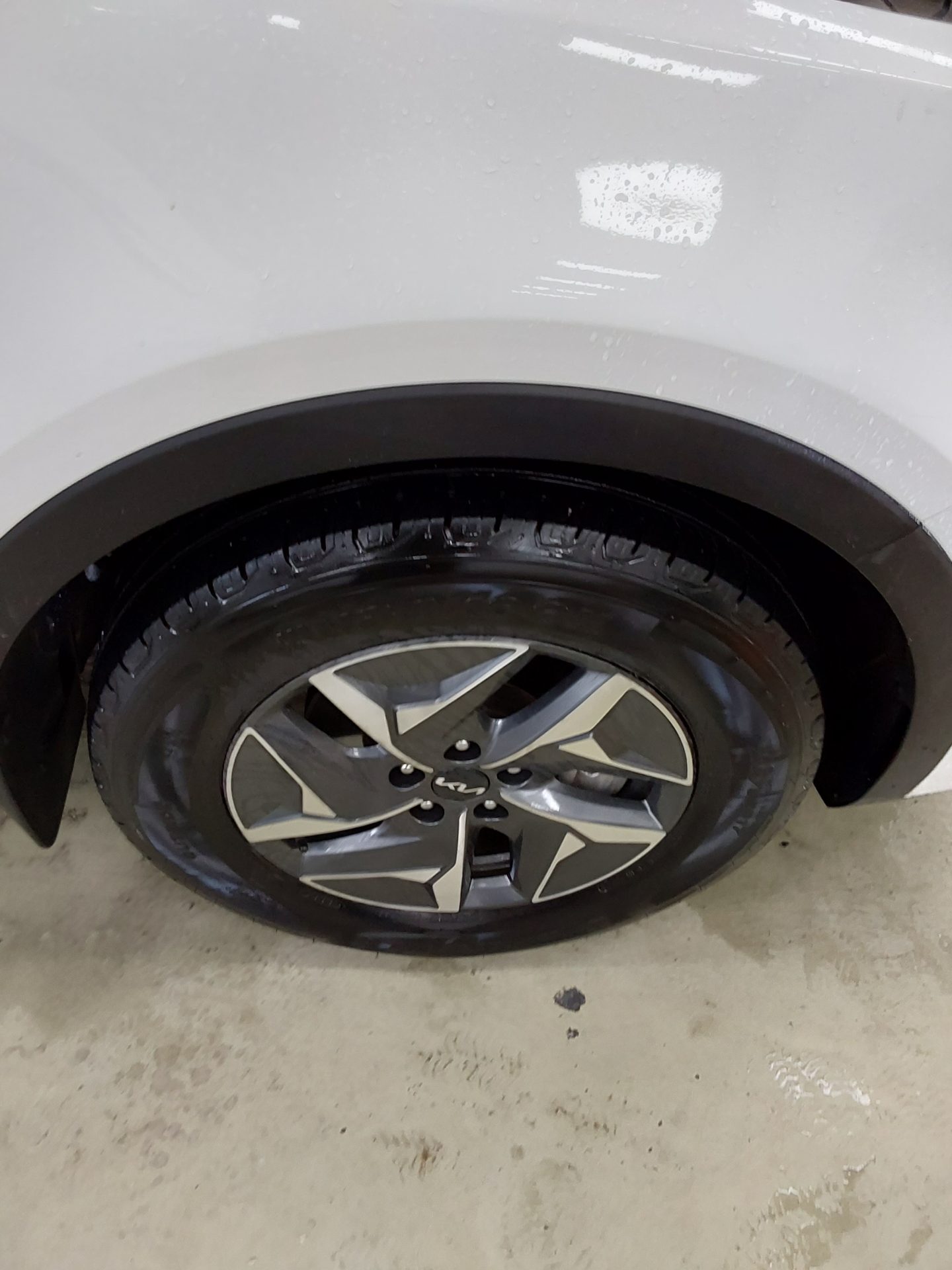 2022 - kia sorento