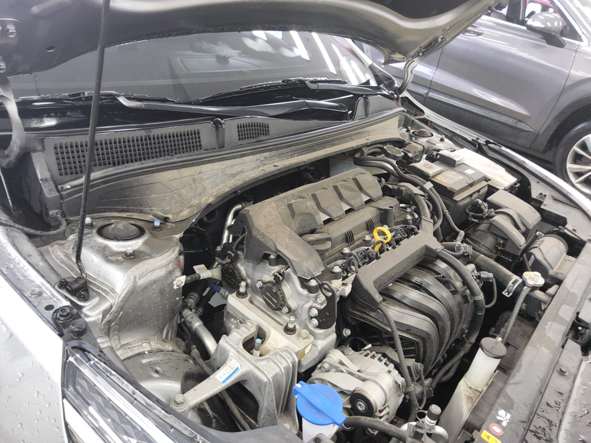 2024 - kia k3