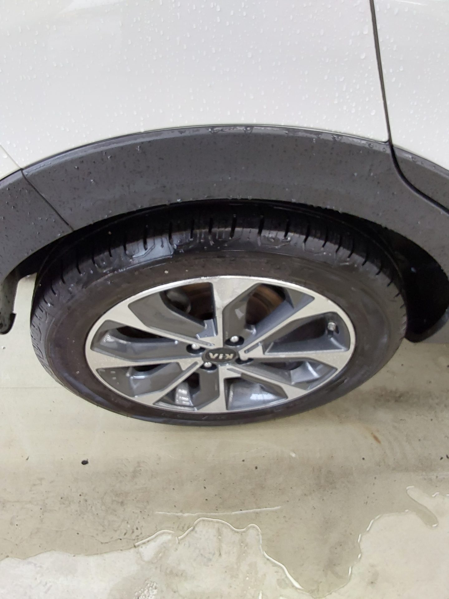 2019 - kia stonic
