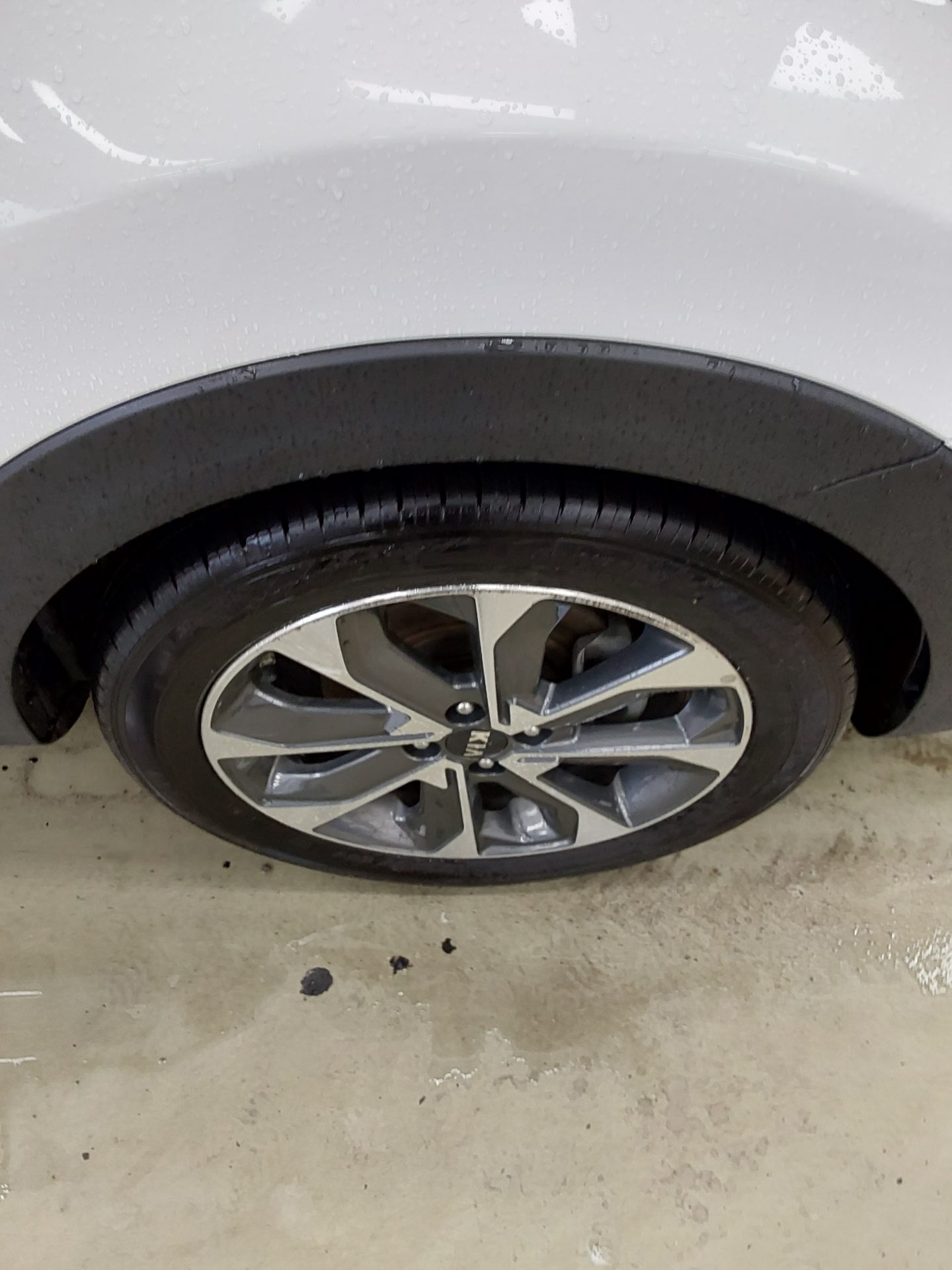 2019 - kia stonic