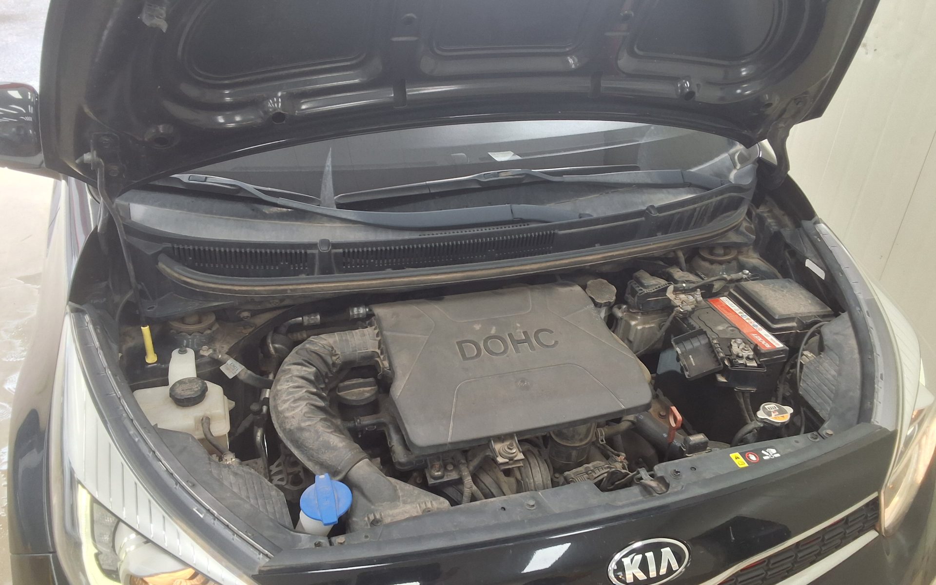 2019 - kia morning