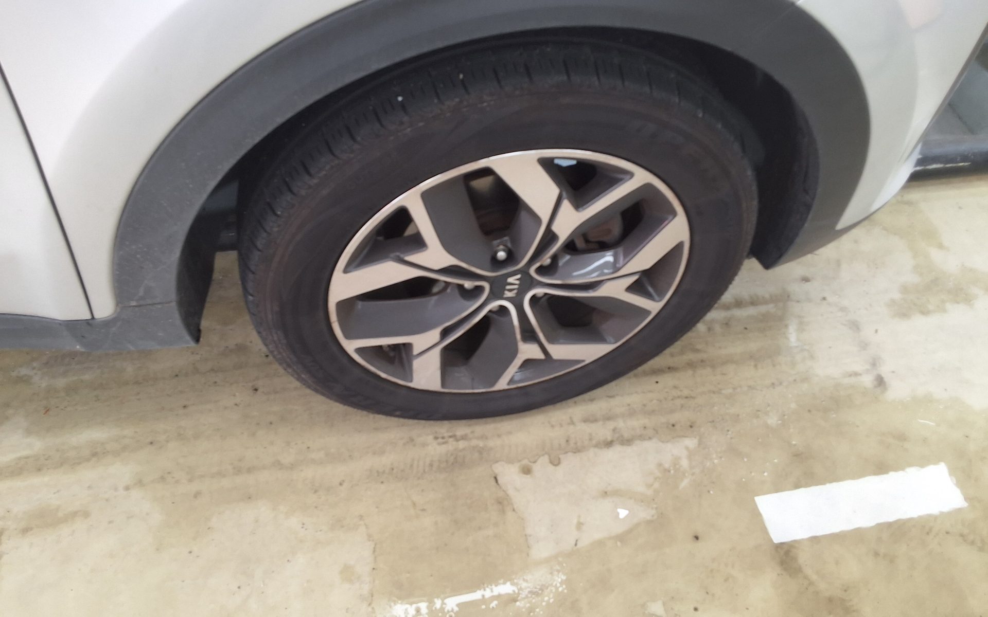 2019 - kia sportage