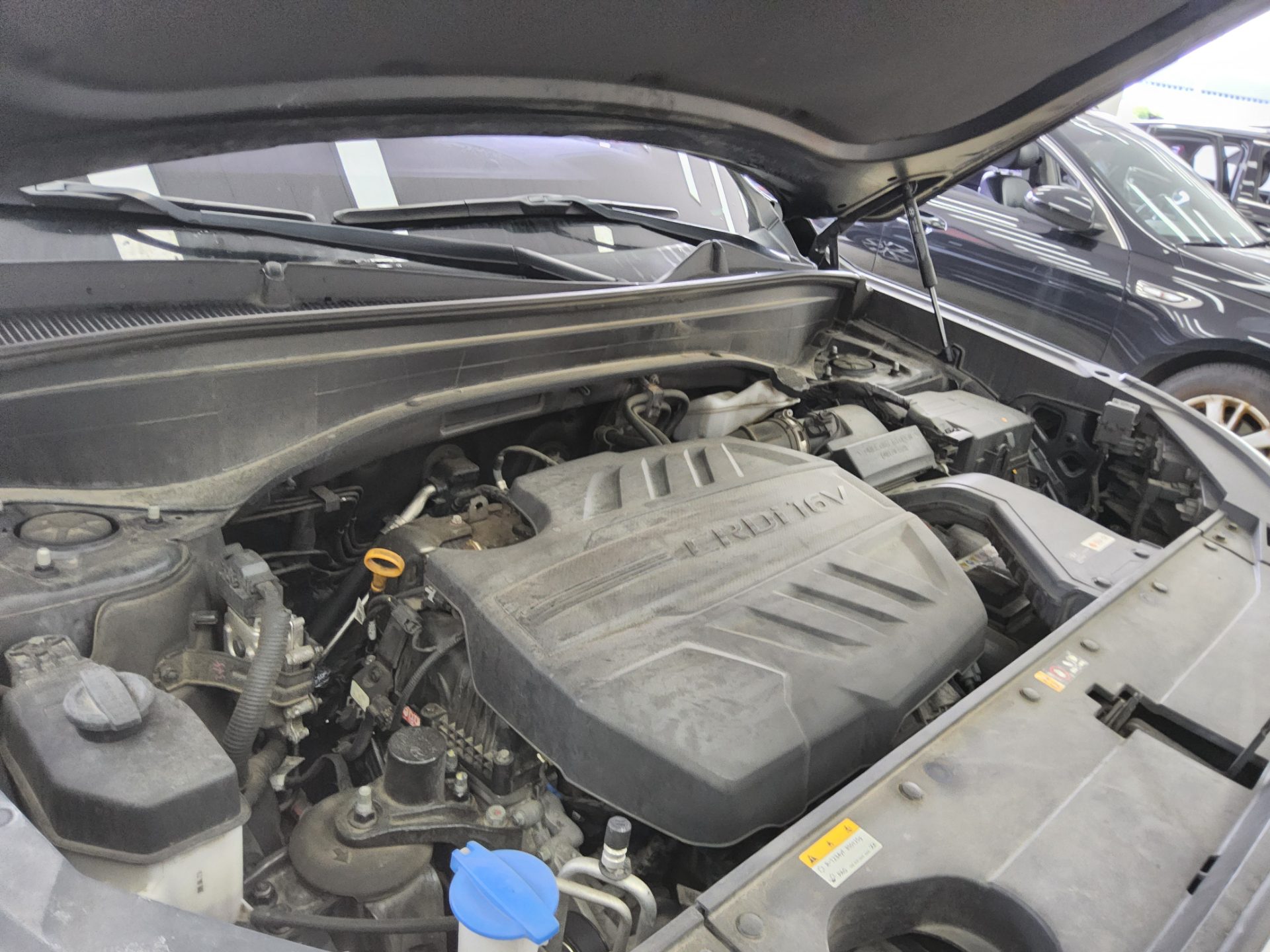 2019 - hyundai palisade