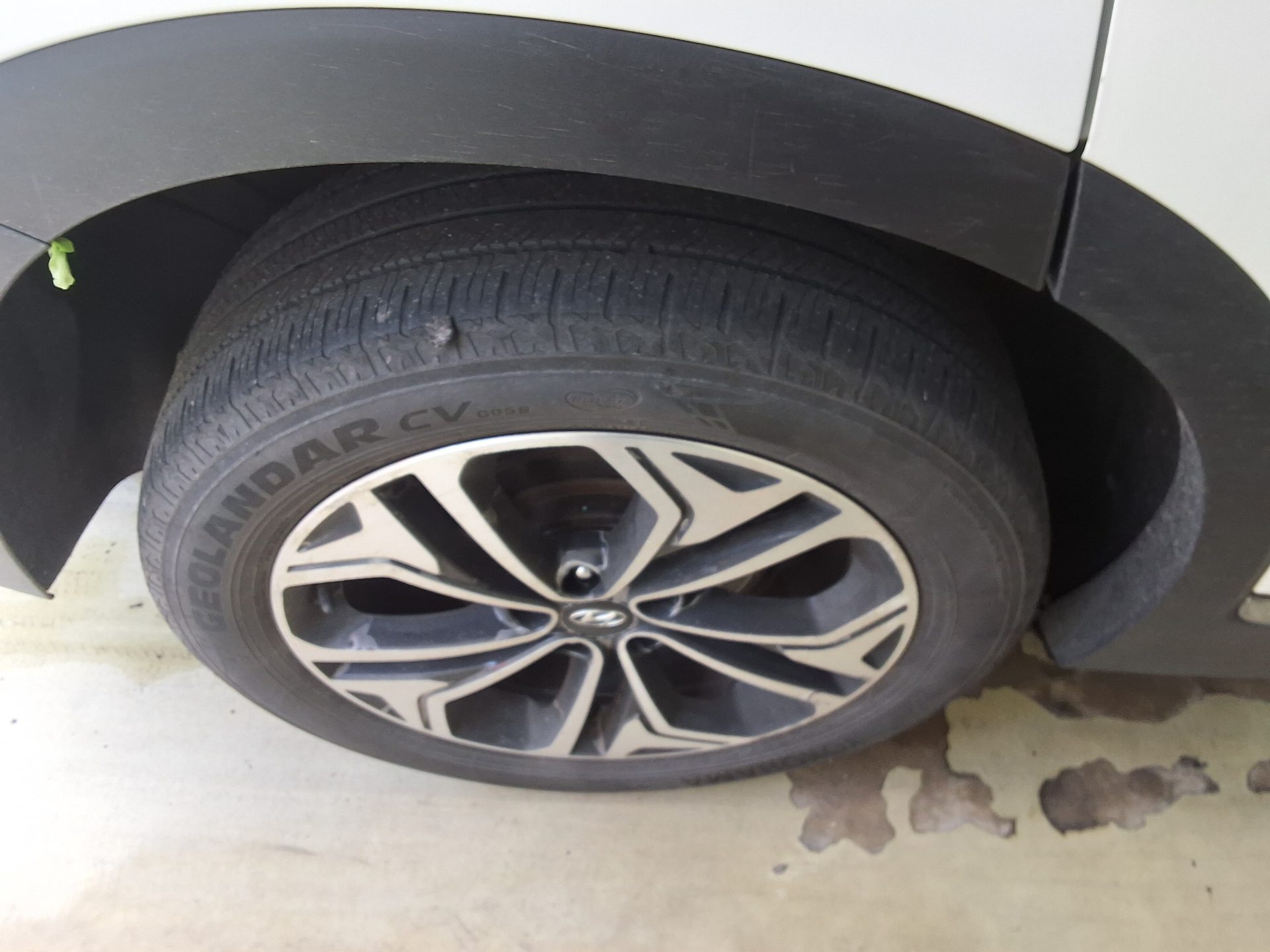 2019 - hyundai santa fe
