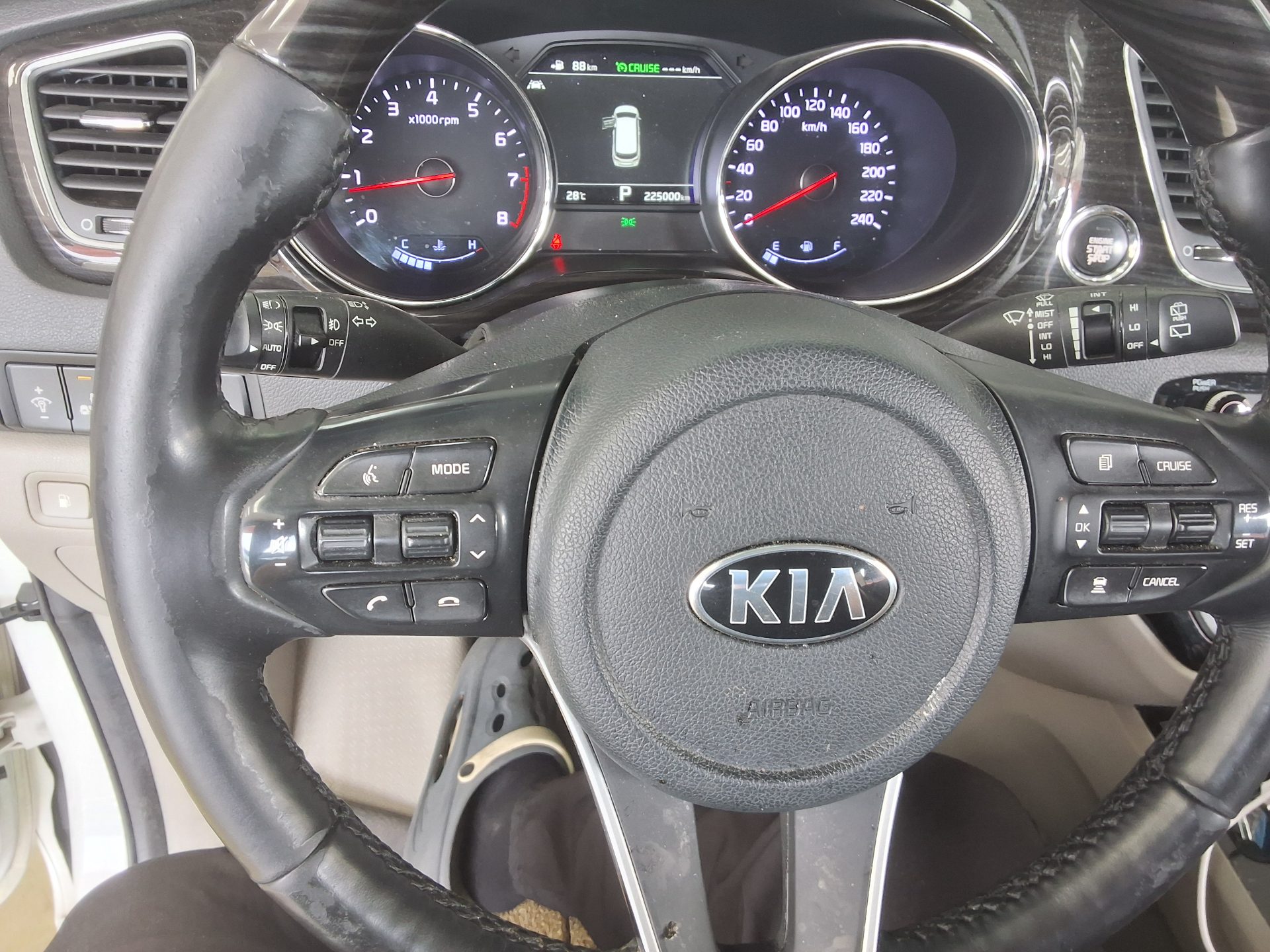 2019 - kia carnival