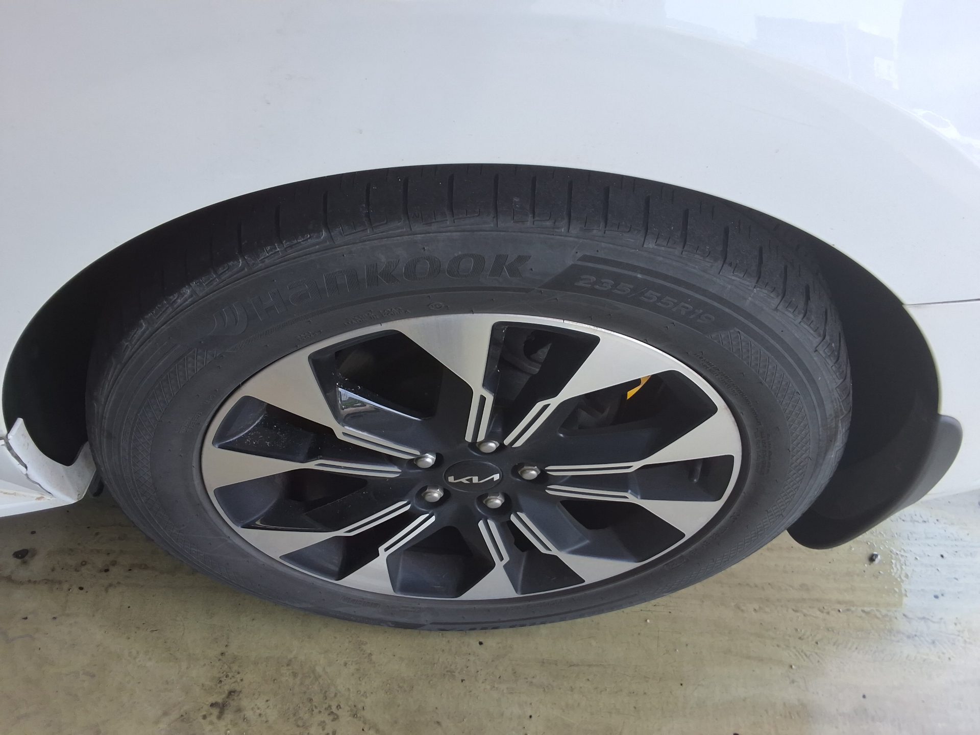 2019 - kia carnival