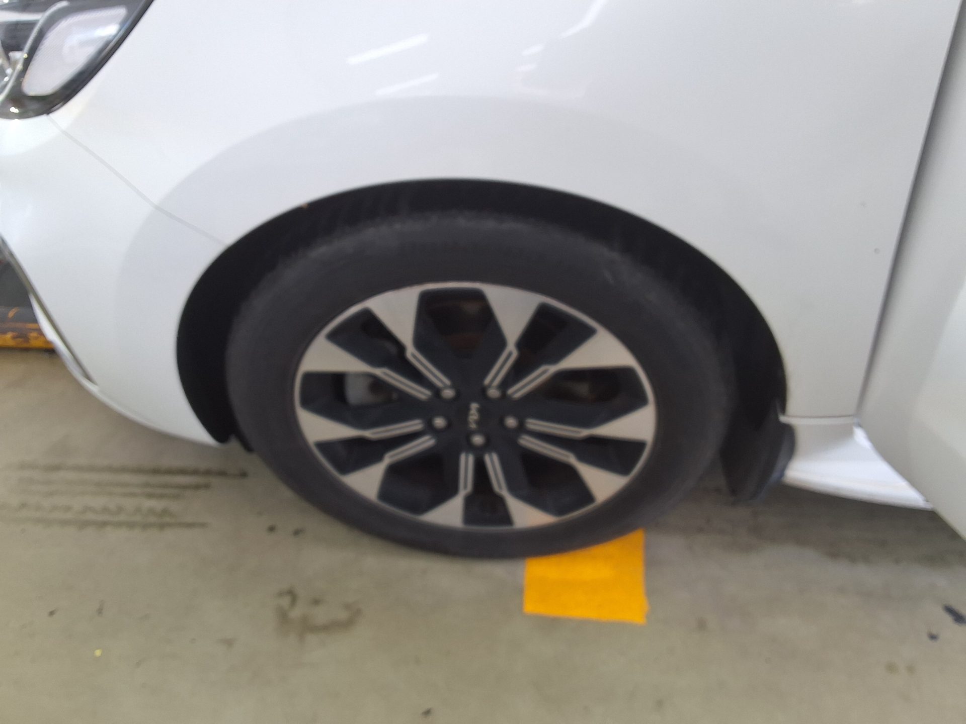2019 - kia carnival
