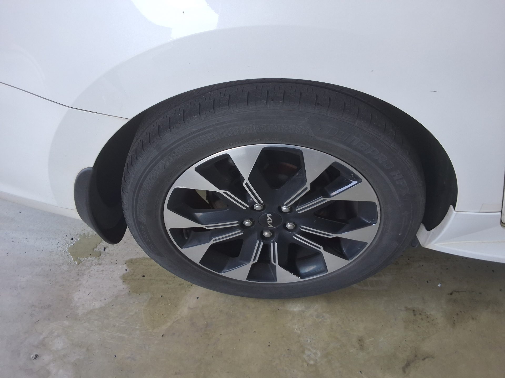 2019 - kia carnival